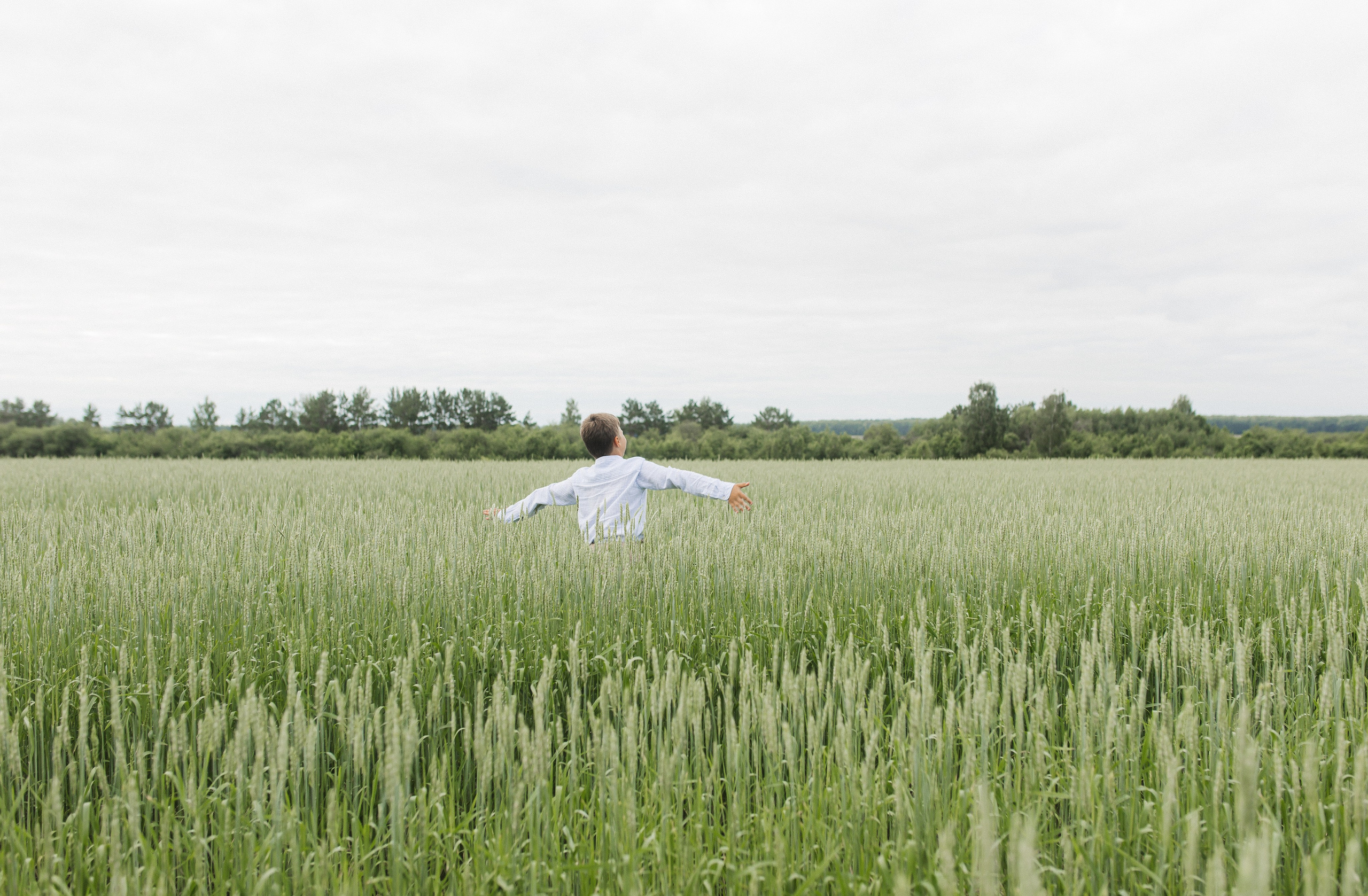 Маша и Миша и их веселая компания (пикник в поле). Семейный и свадебный фотограф в Екатеринбурге Орлова Ирина