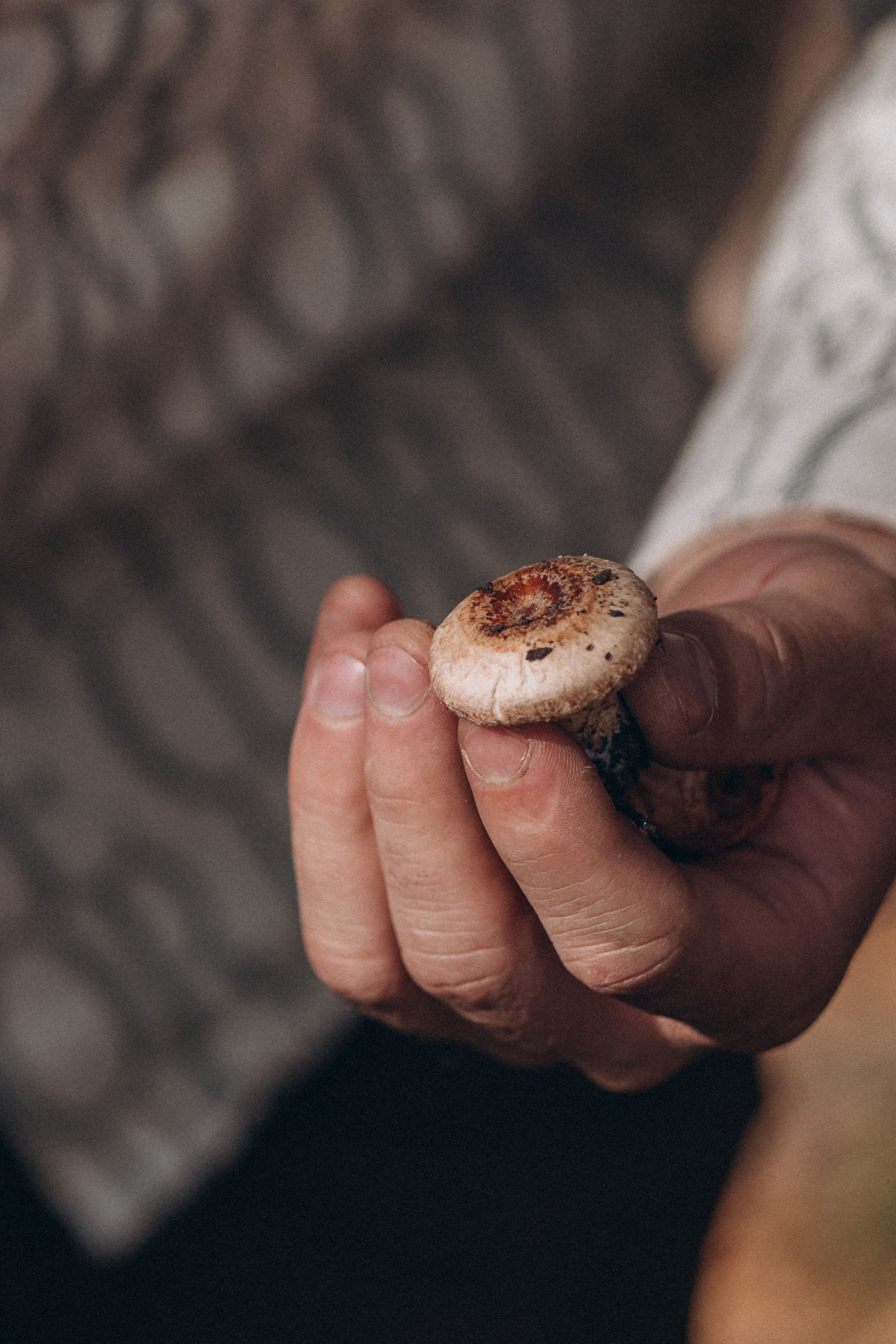 Семья Колесниковых. Семейный фотограф Нижневартовск Тюмень Ефимова Ирина