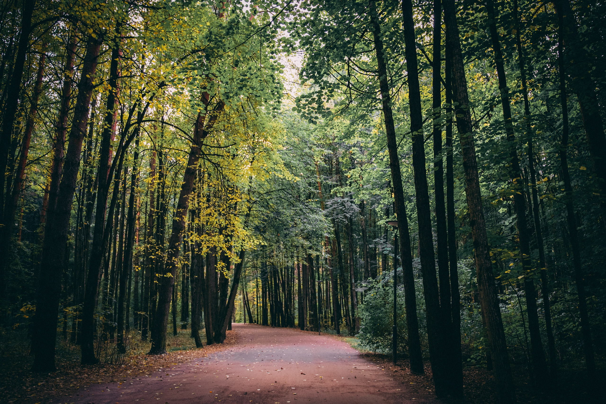 Осень 2025. Фотограф из Москвы — DASHA NOVA | Авторская фотография в разных жанрах