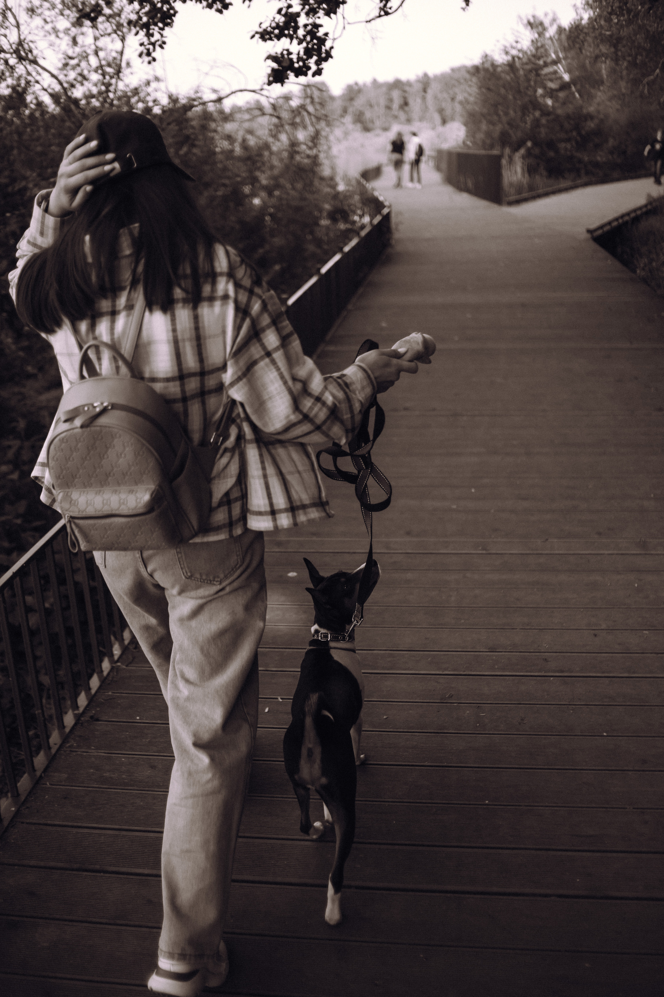 Lifestyle with Dog. Фотограф Юлия Говор