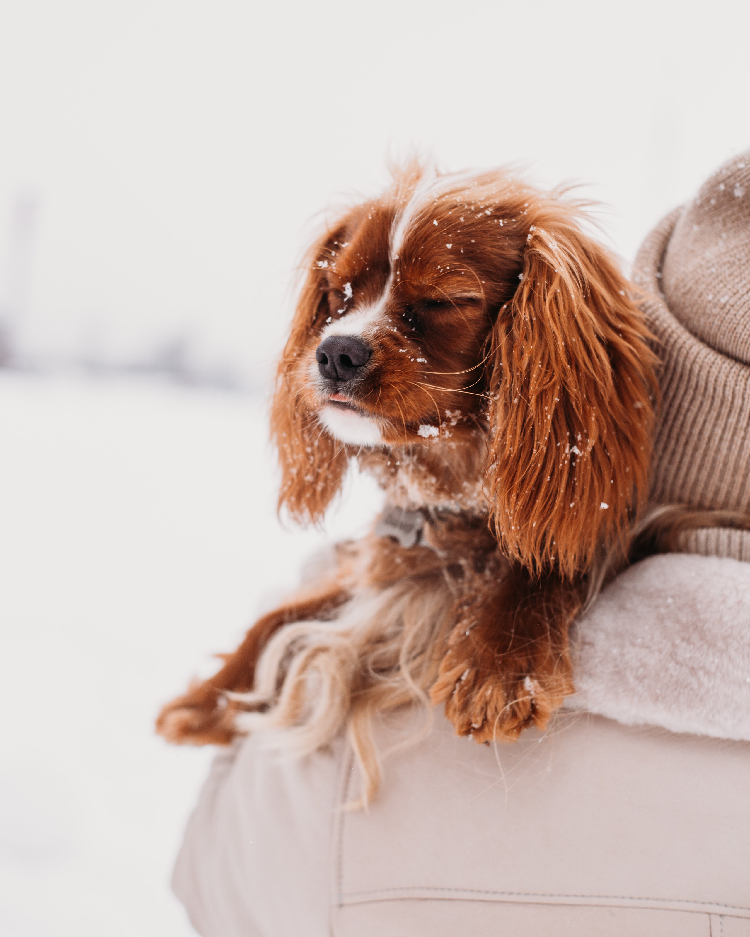Зимние фотопрогулки. Фотограф Юлия Говор