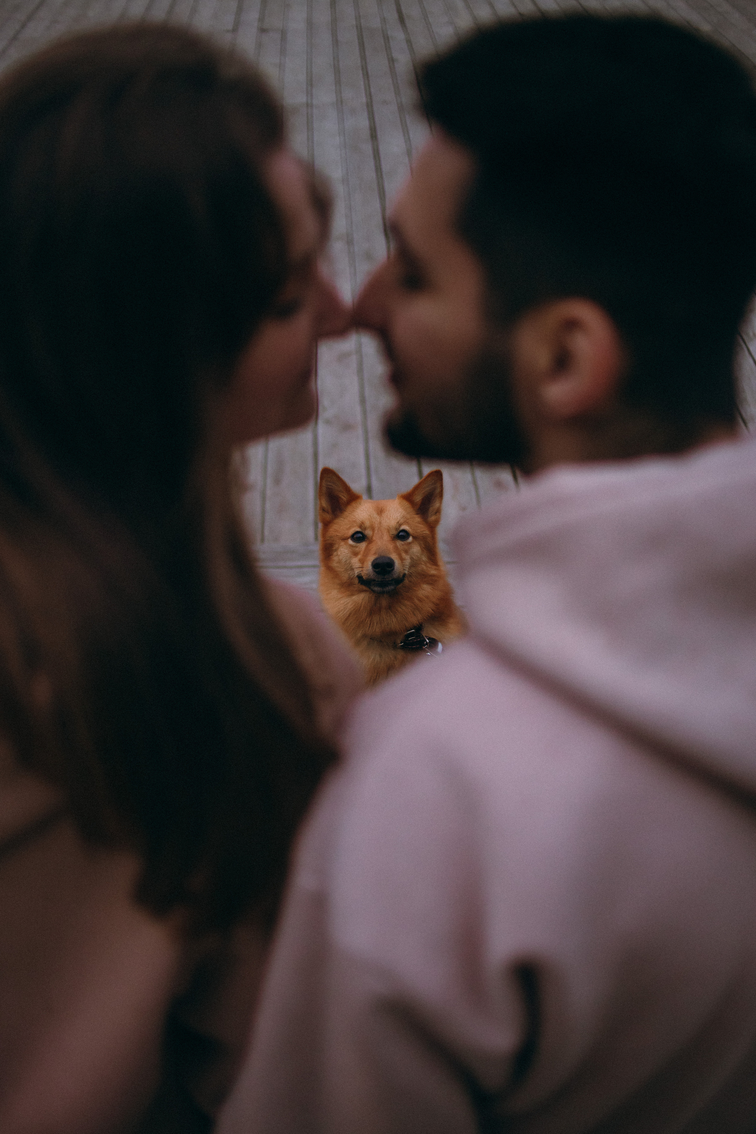 Lifestyle with Dog. Фотограф Юлия Говор