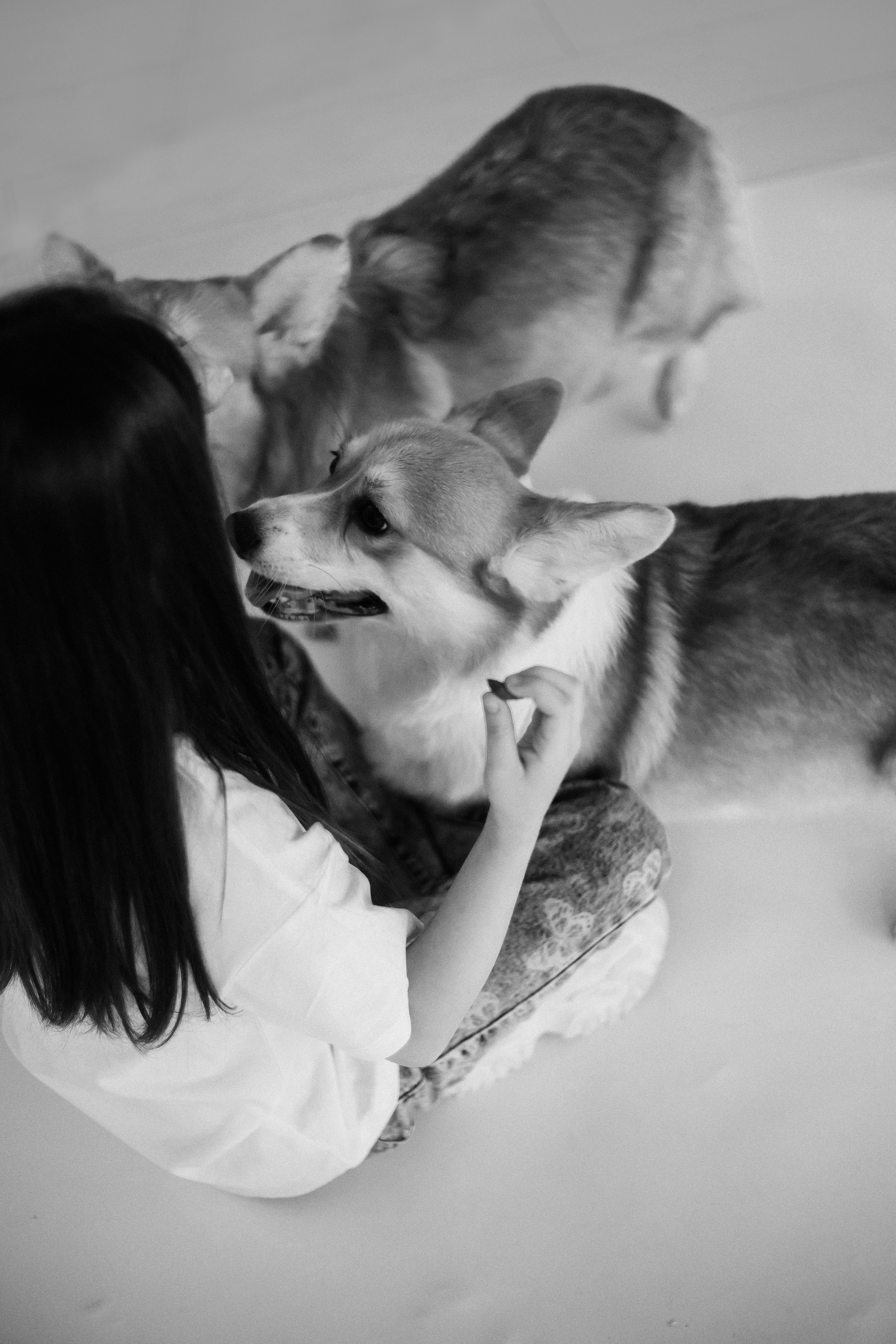 Дети и собаки. Фотограф Юлия Говор