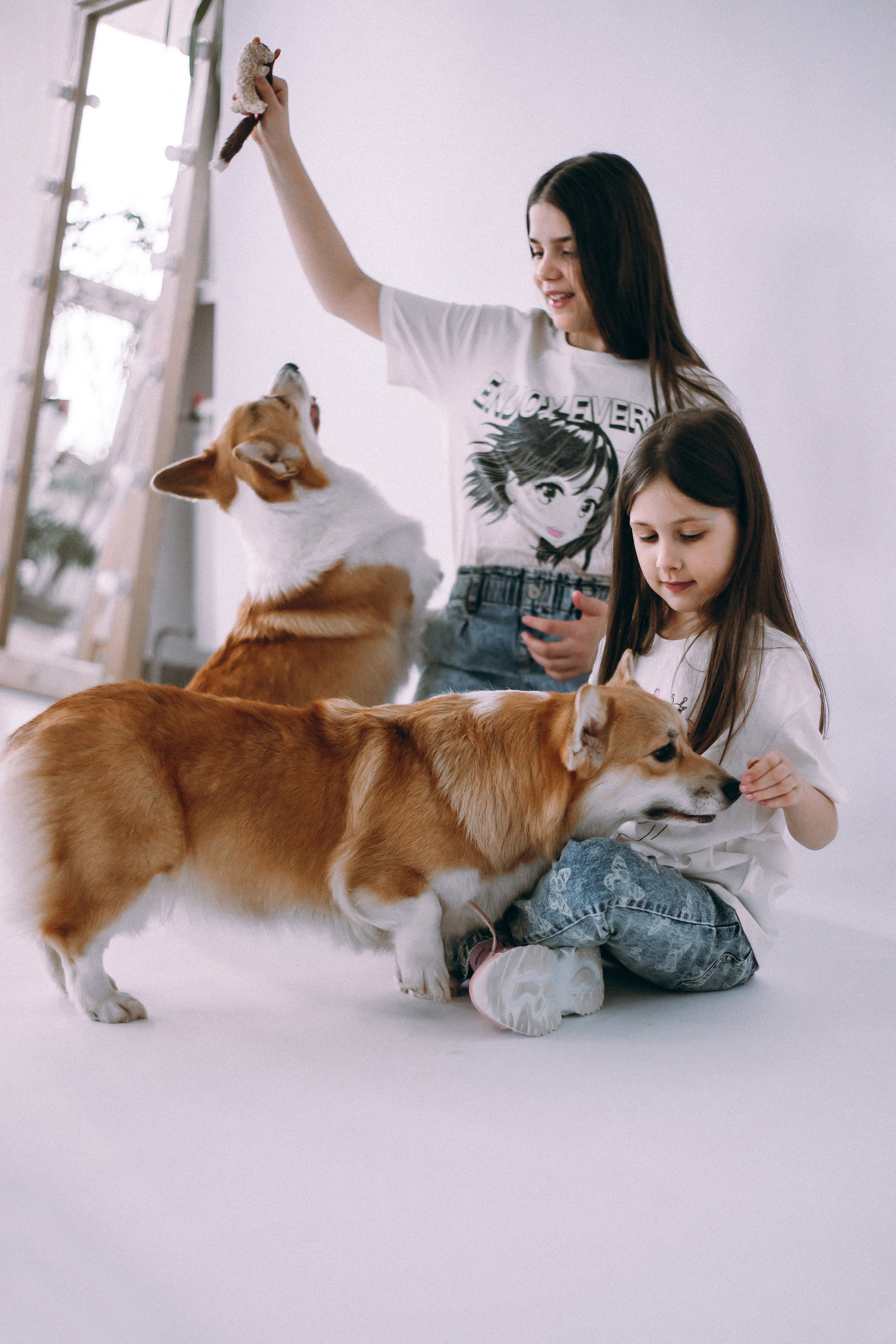 Дети и собаки. Фотограф Юлия Говор