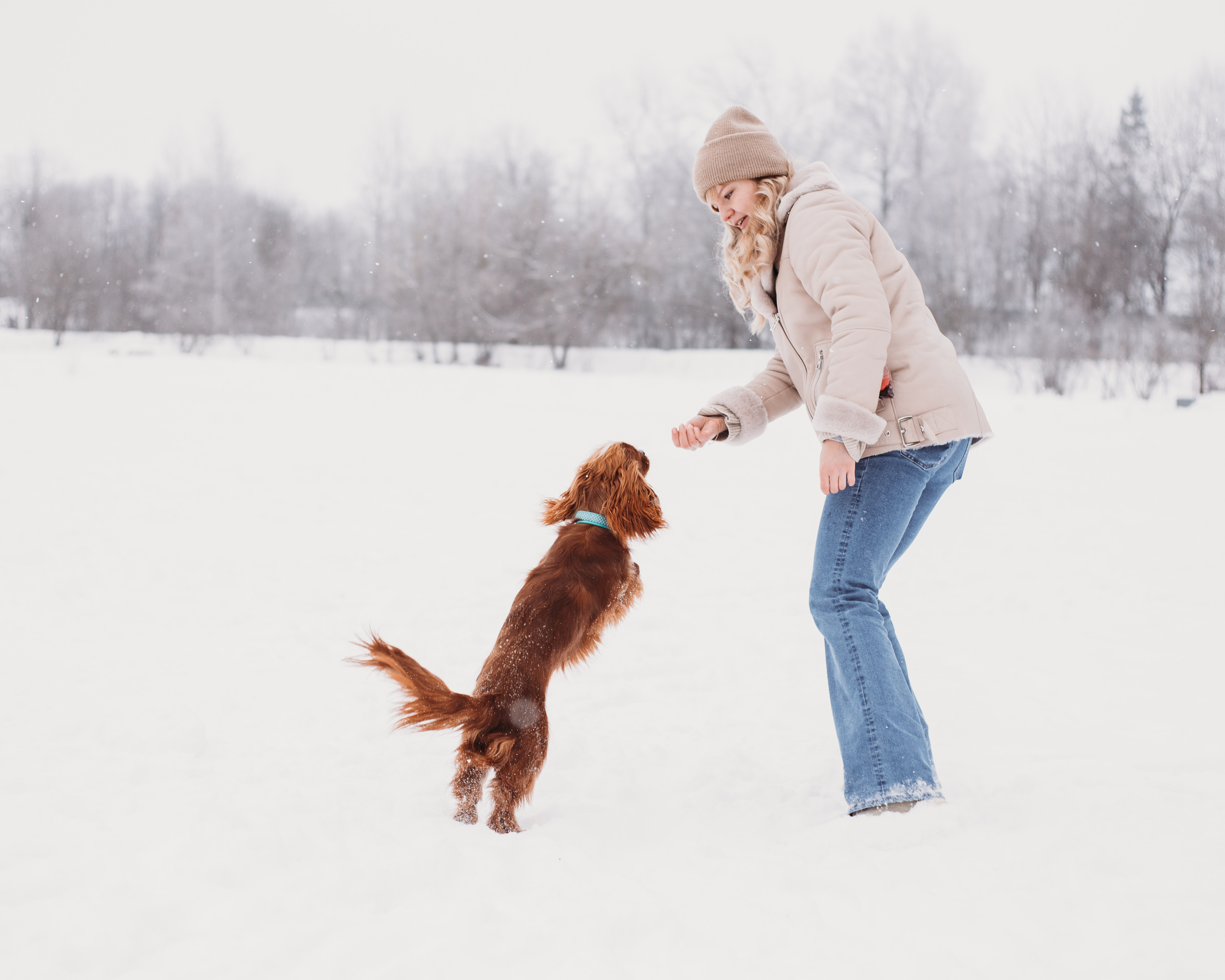 Зимние фотопрогулки. Фотограф Юлия Говор