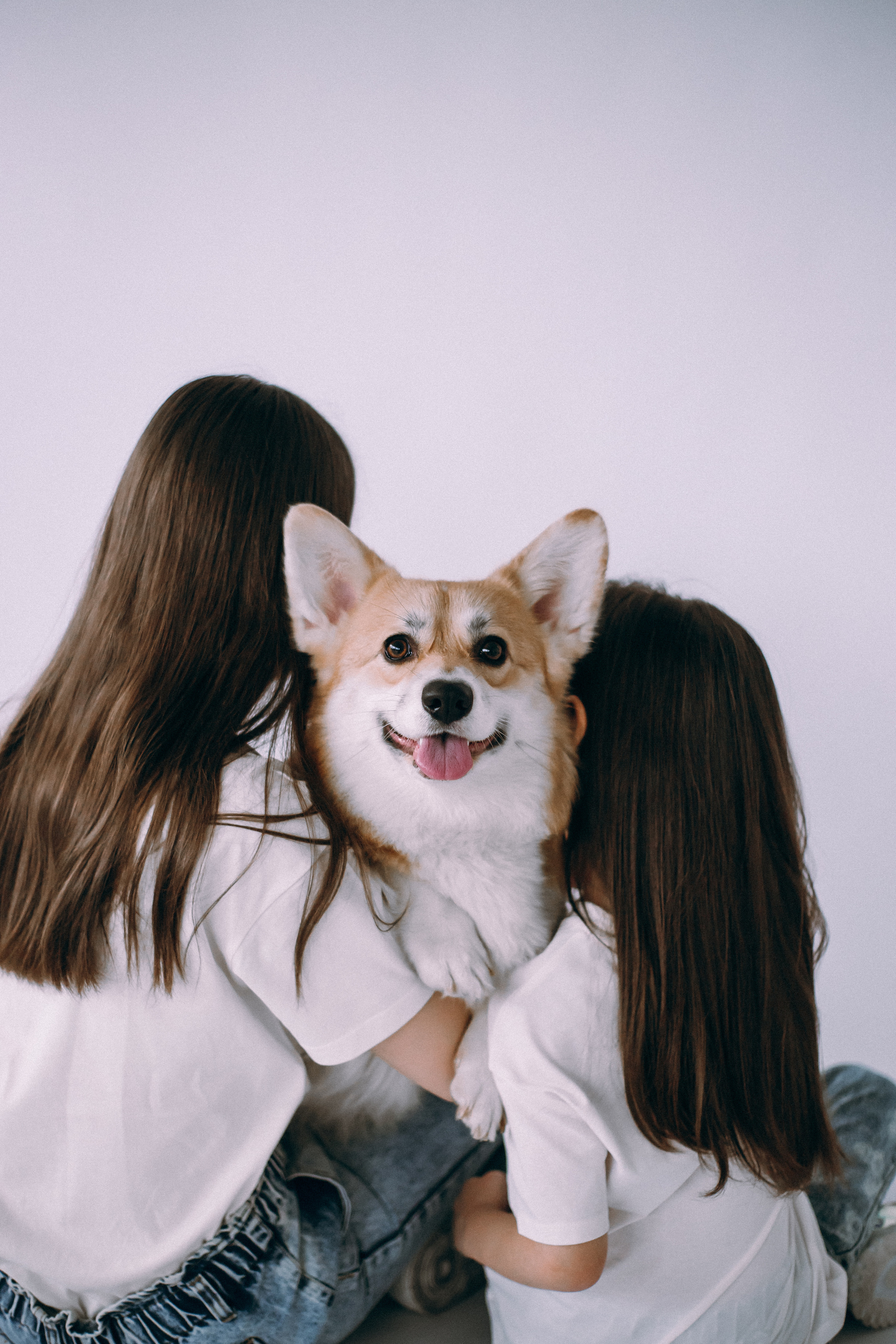 Дети и собаки. Фотограф Юлия Говор