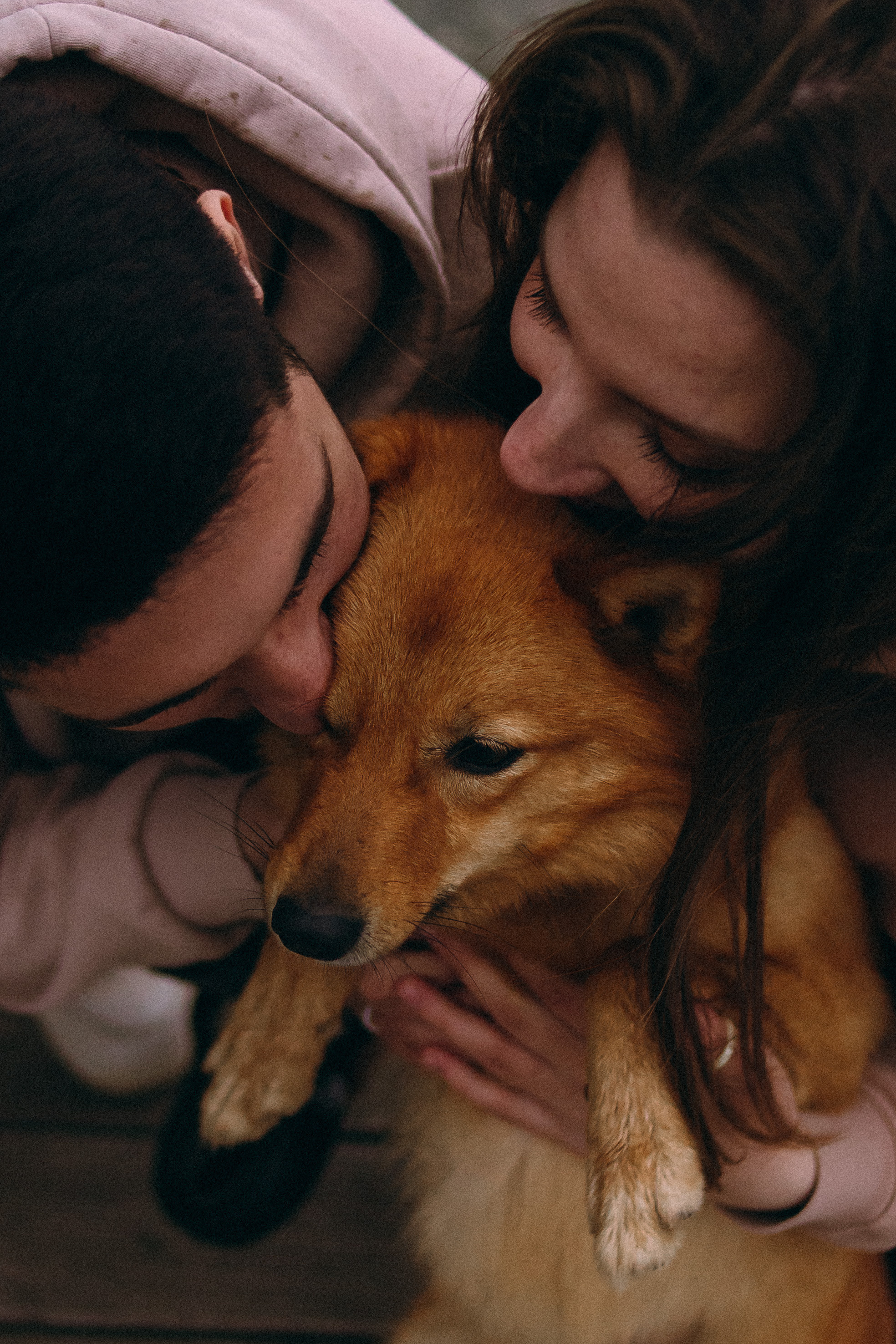 Lifestyle with Dog. Фотограф Юлия Говор