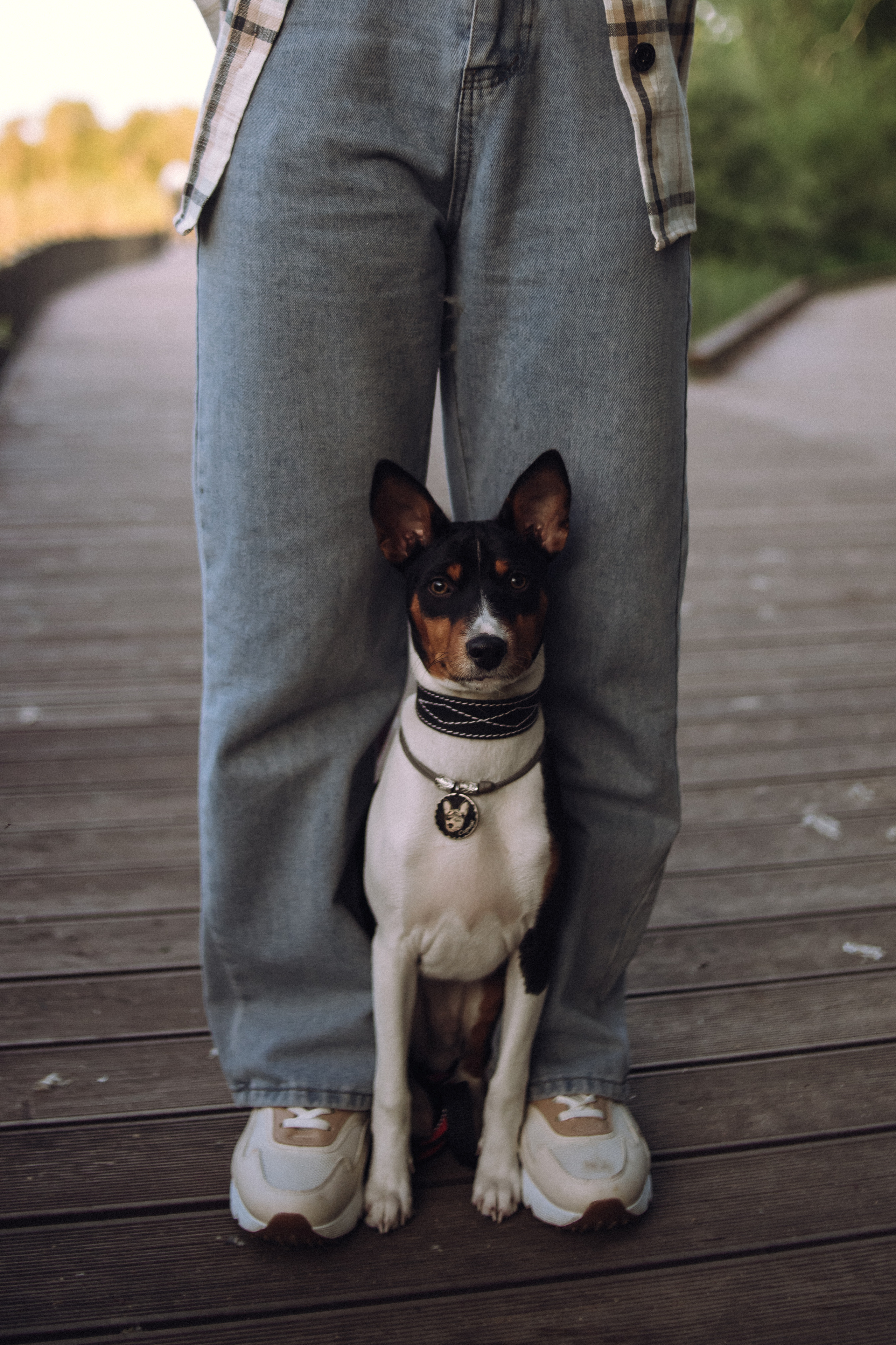 Lifestyle with Dog. Фотограф Юлия Говор
