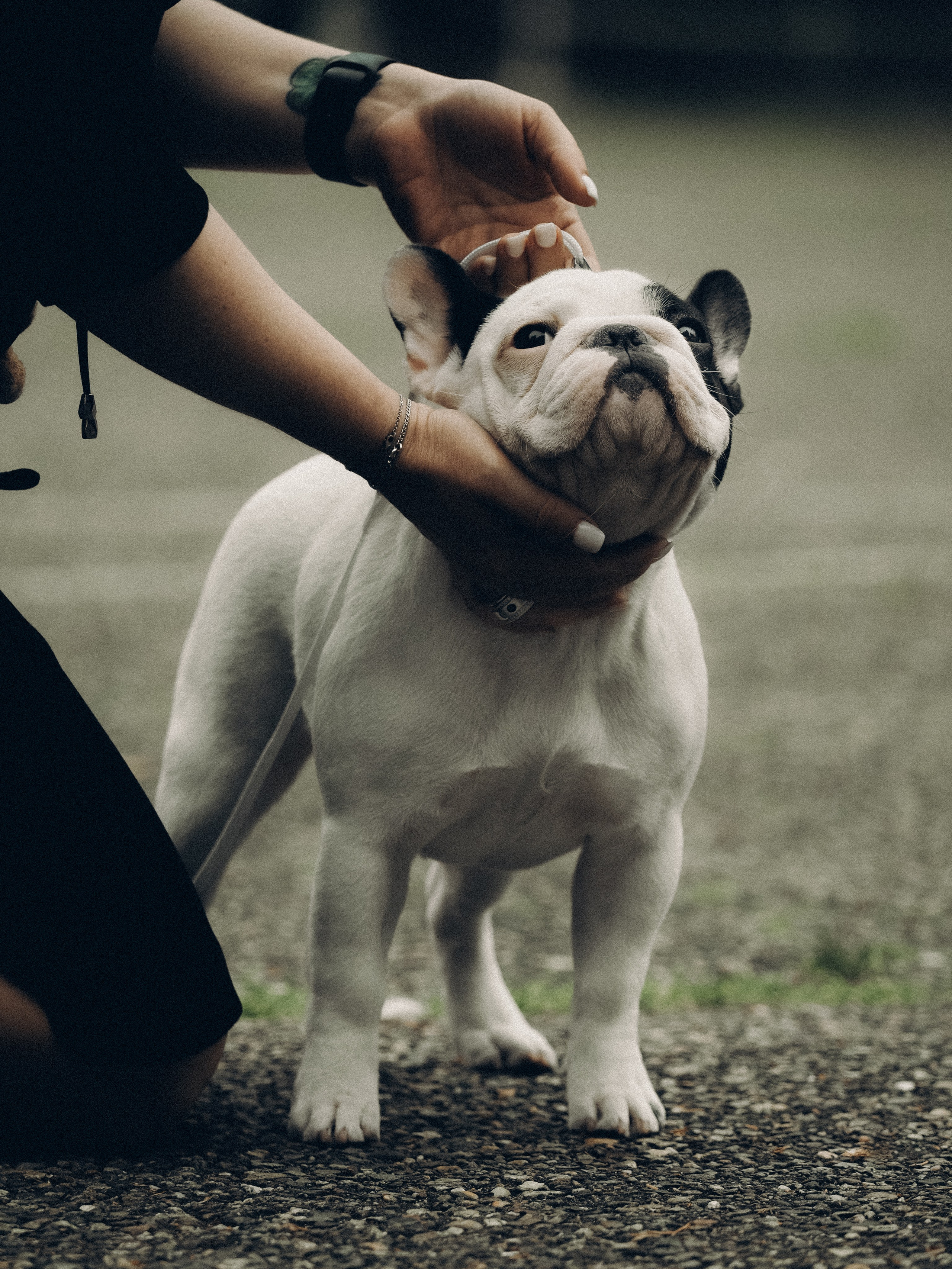 Фотограф анималист Тюгаева Мария