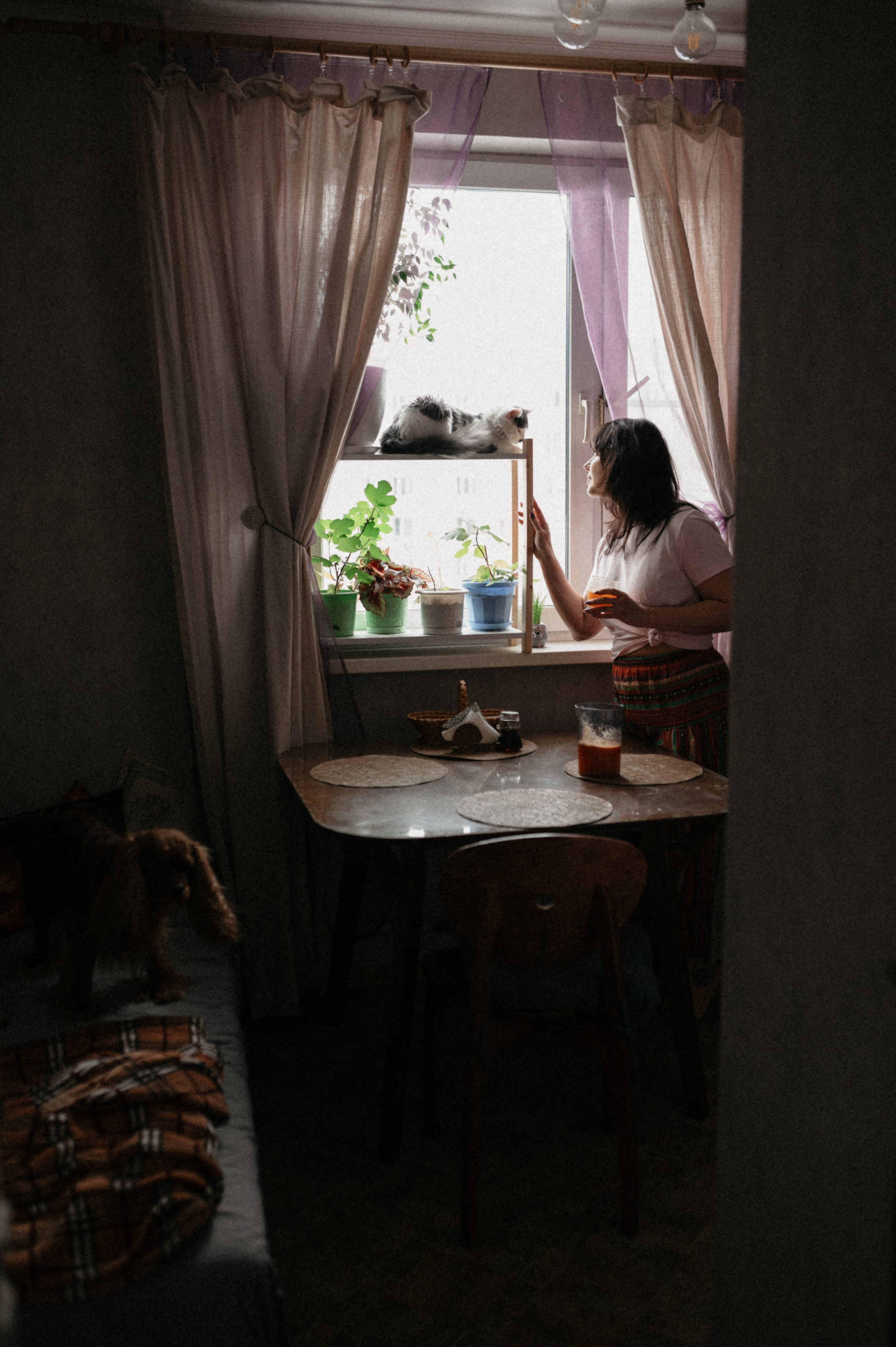 Оля и её меховая банда. Фотограф анималист в Москве Ольга Агушева