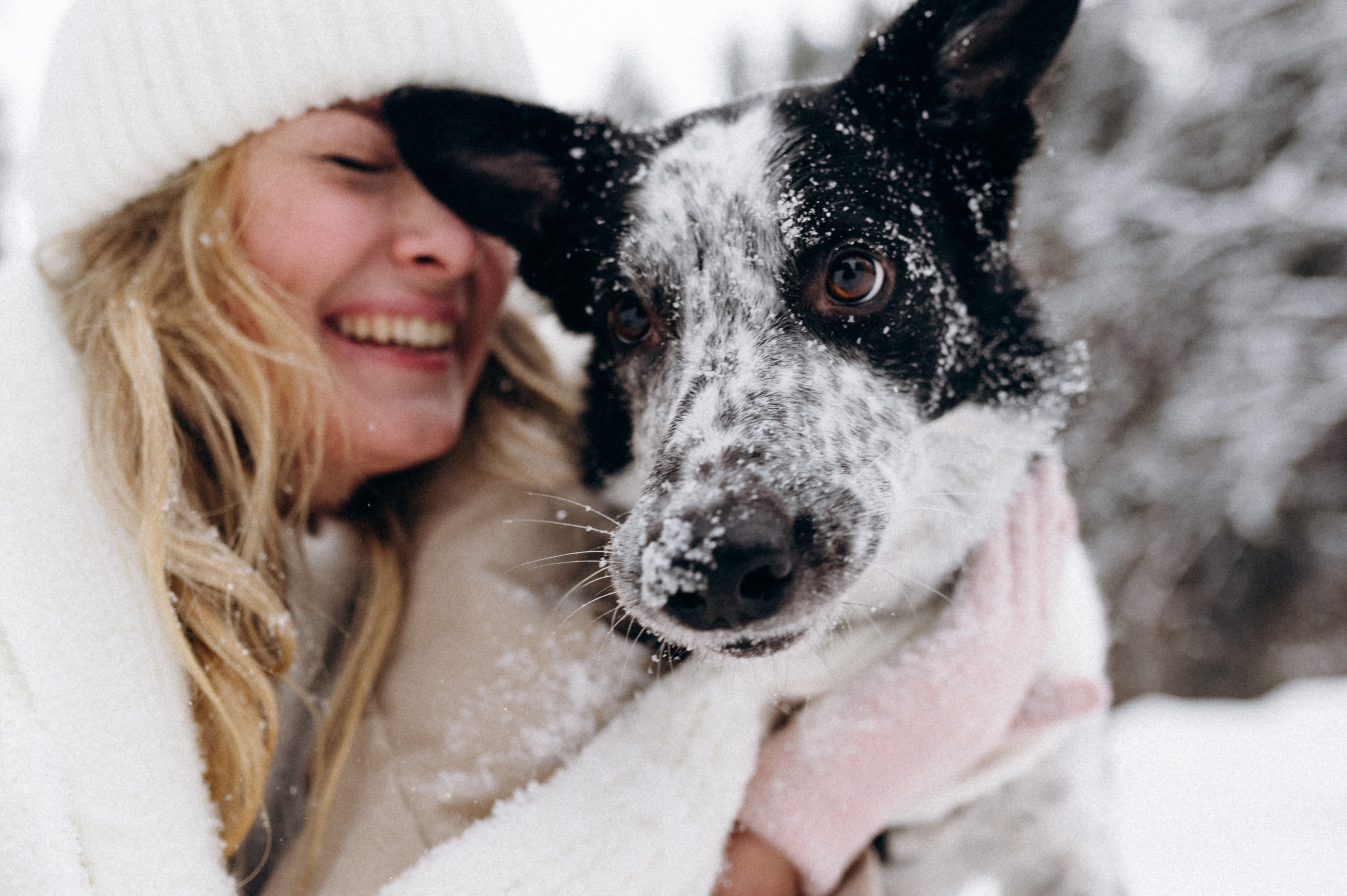 Аня и Милан. Фотограф анималист в Москве Ольга Агушева