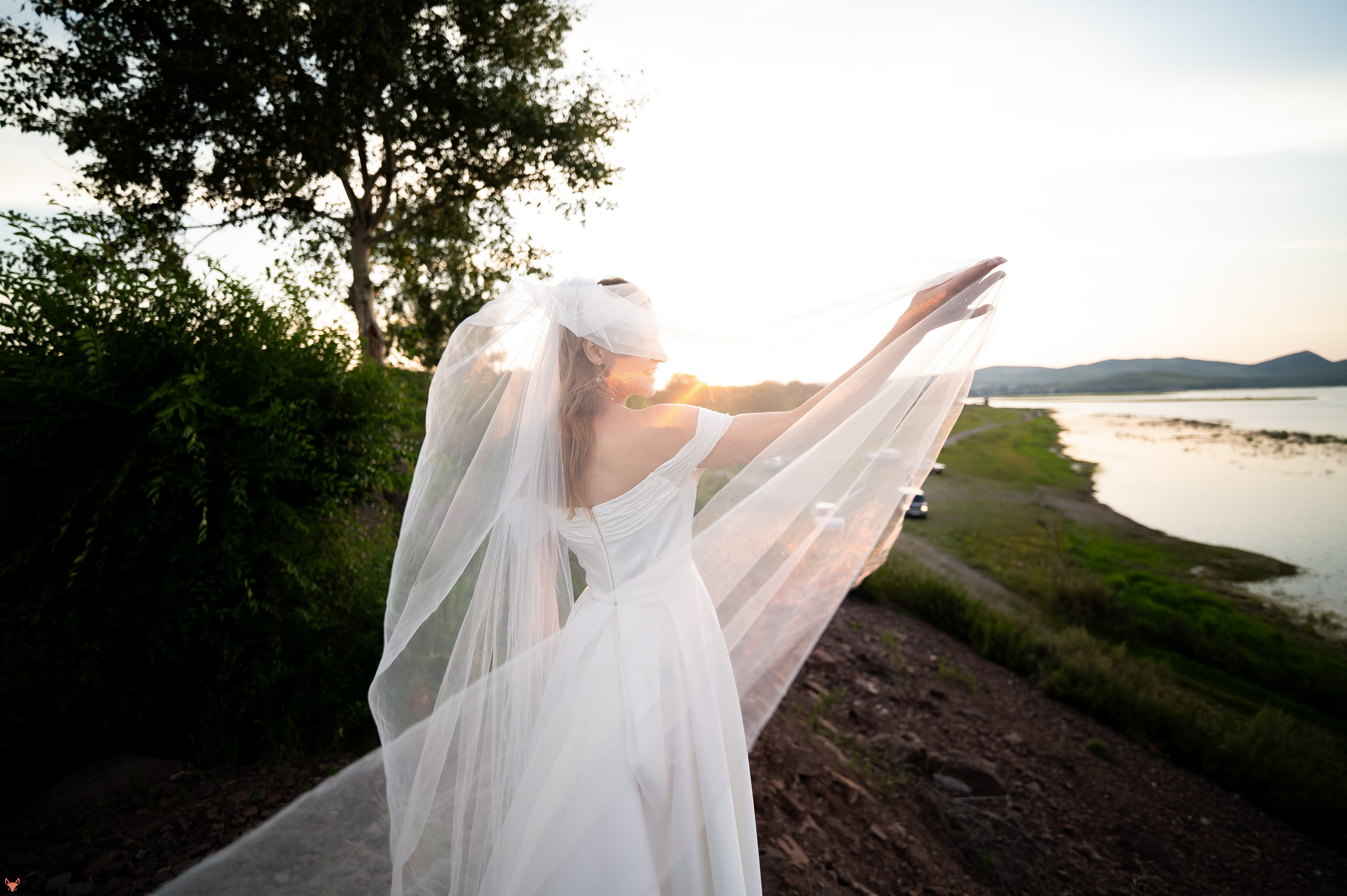 Wedding 02 08 24. Свадебный Фотограф Абакан