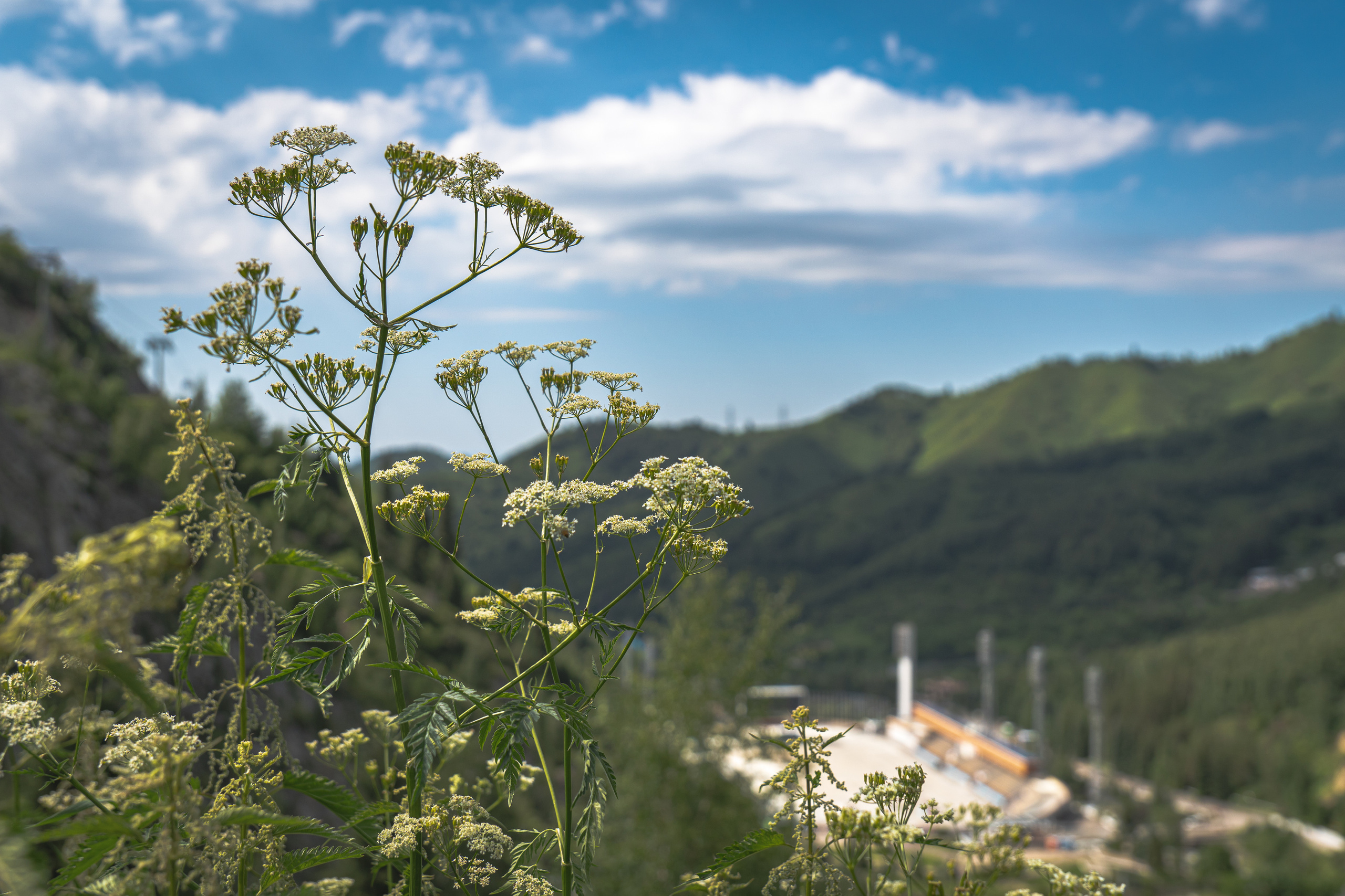 Высокогорный стадион Медеу в Алматы