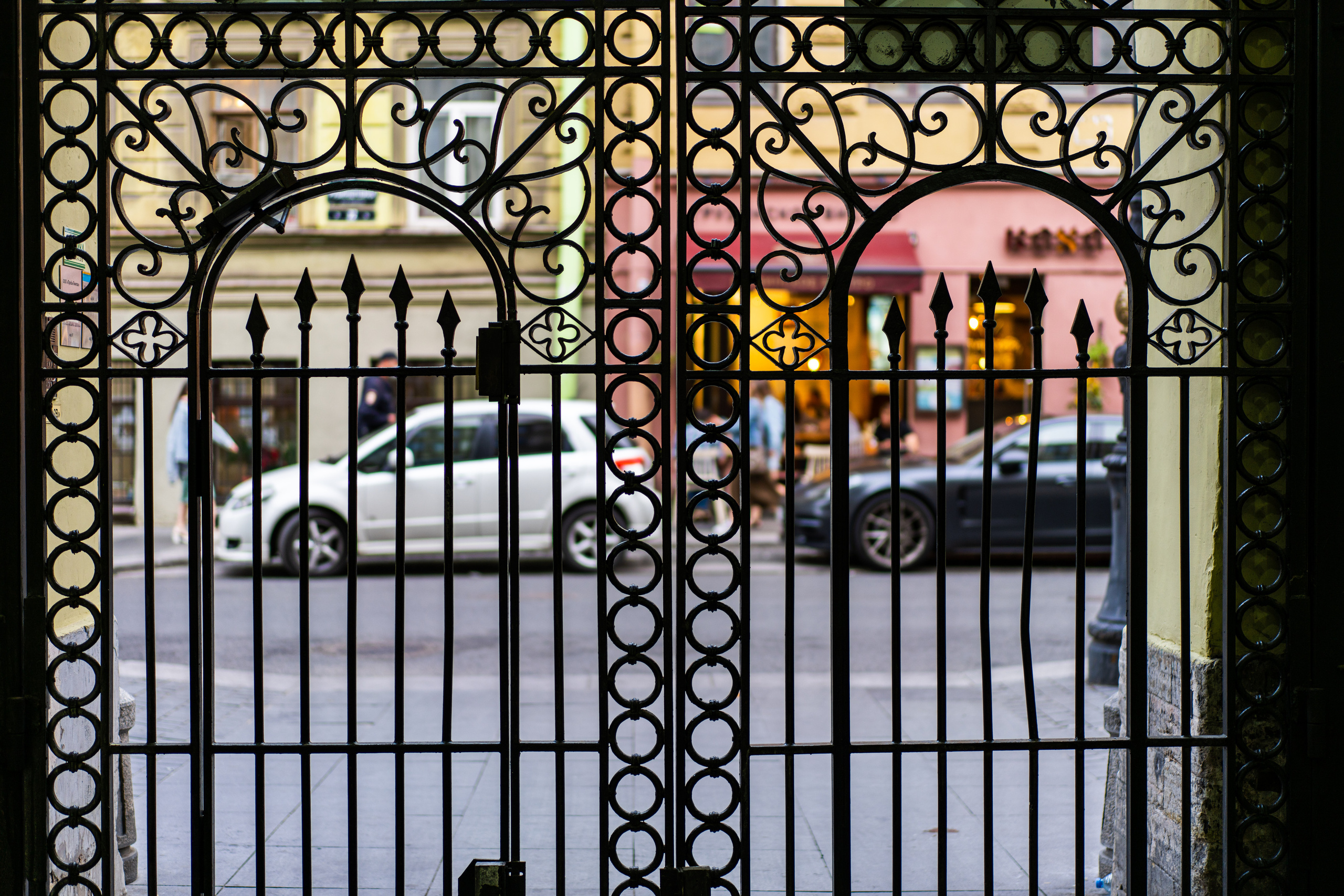 Ворота на улице Рубинштейна в Питере