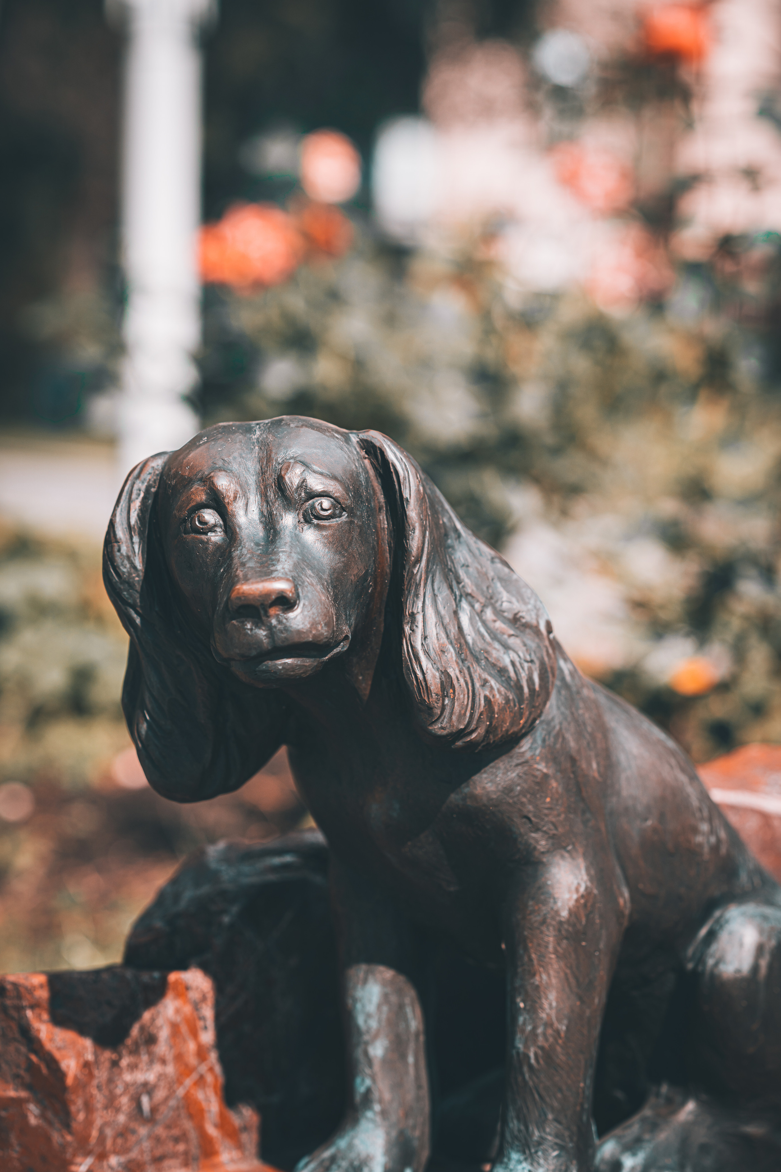 Собака во дворе дома-музея И.С. Тургенева в Москве