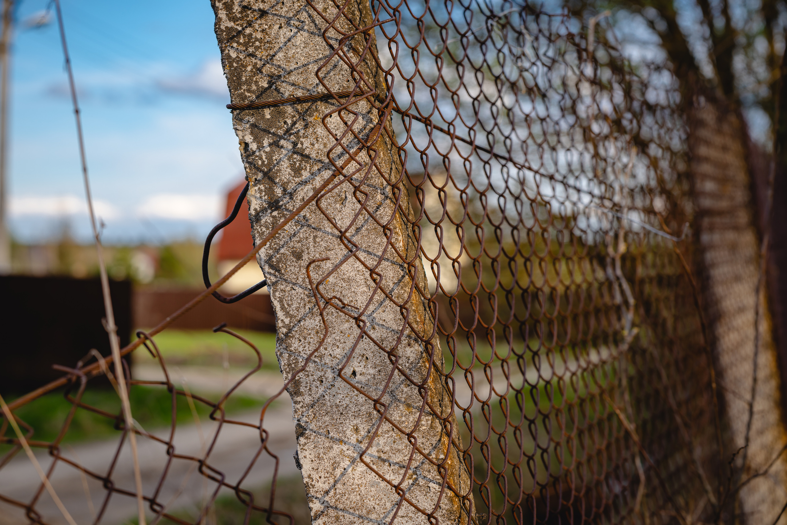 Сетка-рабица на старом заборе
