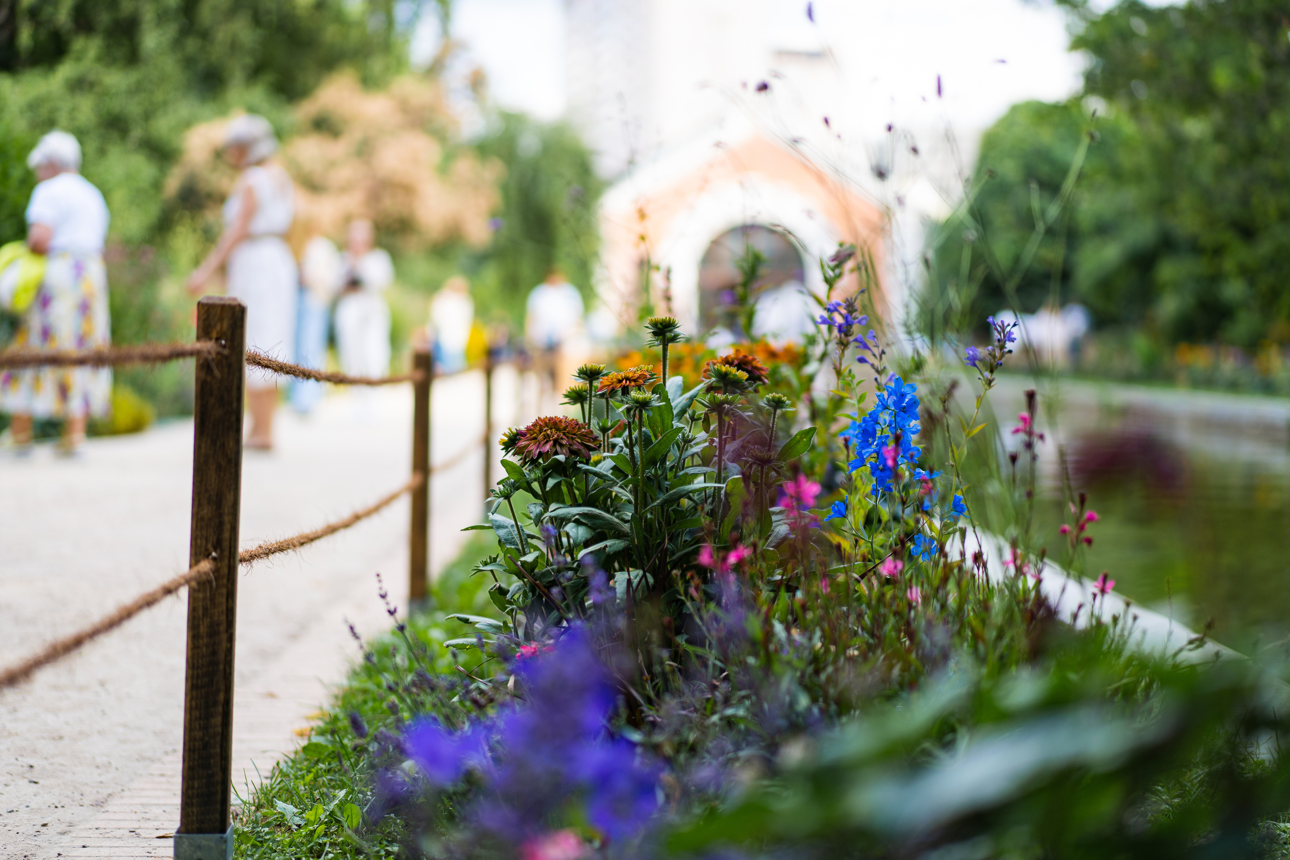 Ботанический сад МГУ Аптекарский огород в Москве