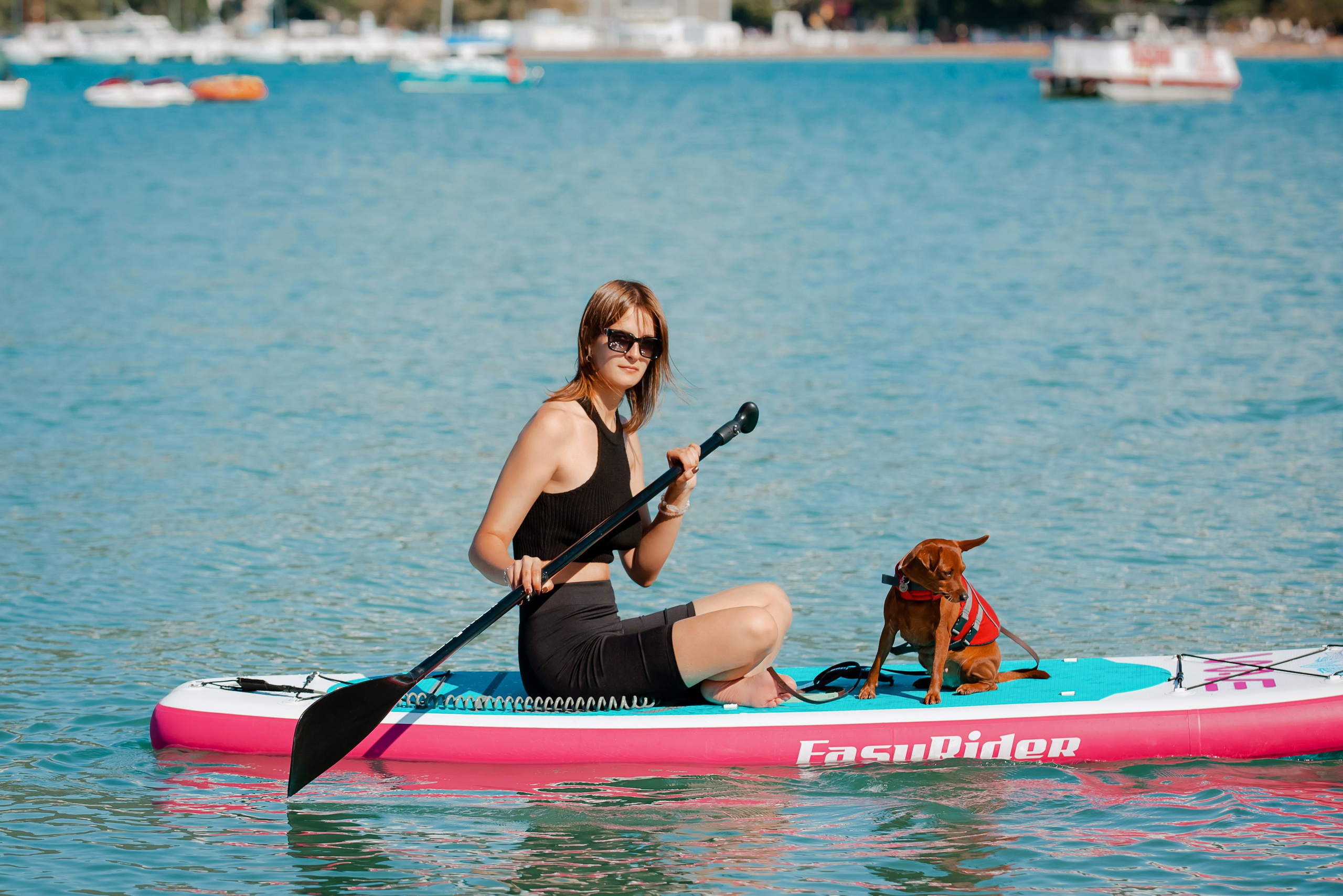 Цвергпинчер в Геленджике. Фотограф-анималист в Краснодаре Маша Мельникова