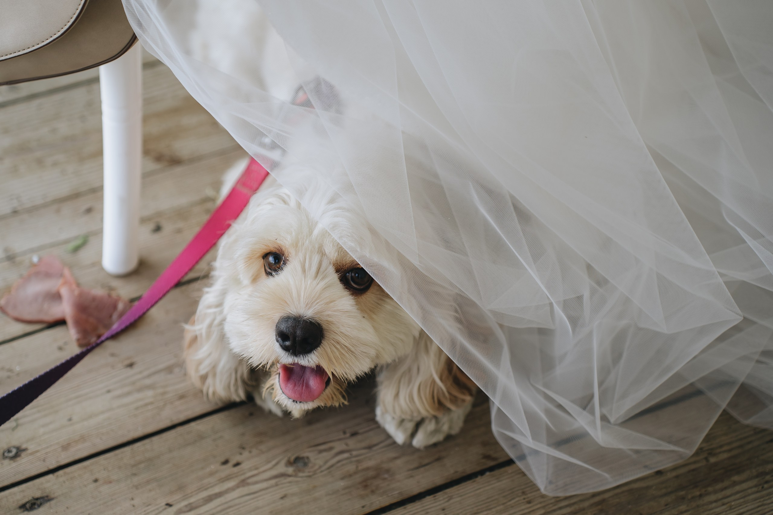 Амина и Алексей. Полный день. Семейный и свадебный фотограф в Саратове Евангелина Штах