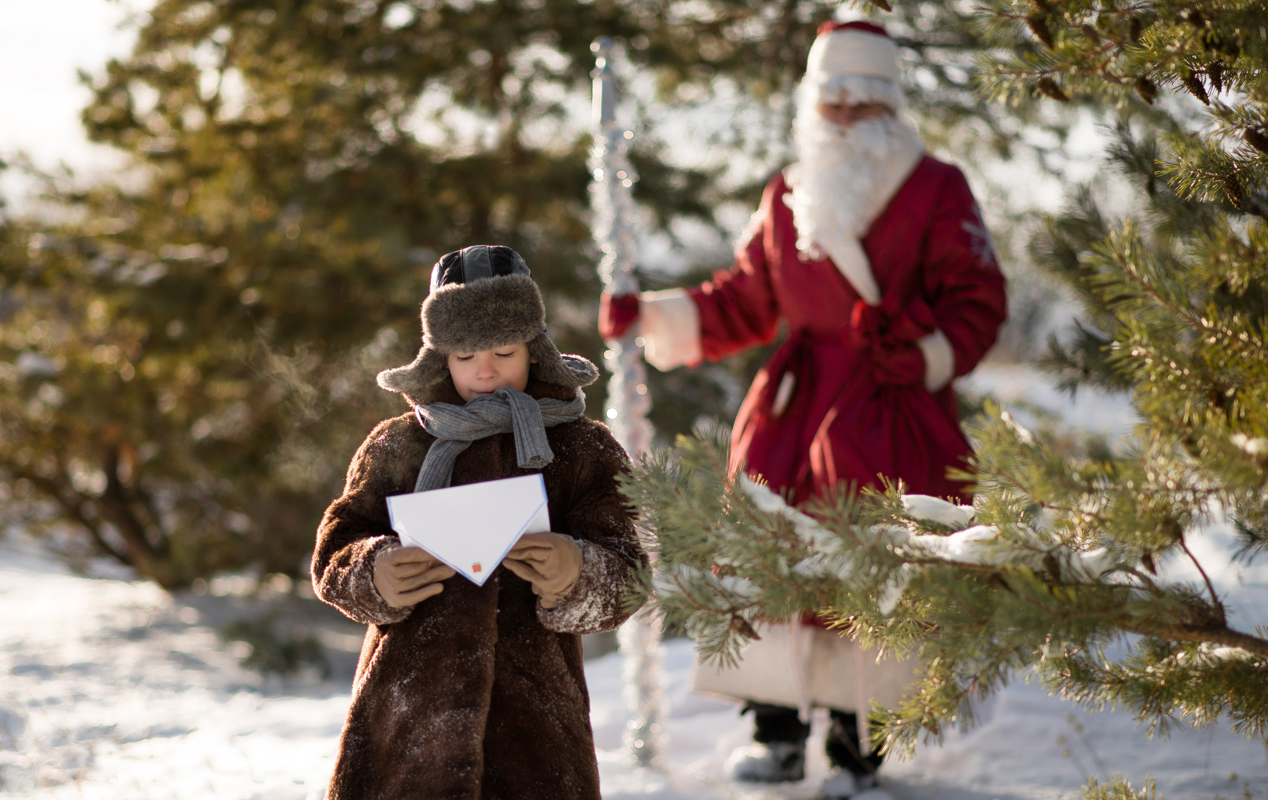 Разные фотосъемки. Конный фотограф в Саратове Юлия Иванова