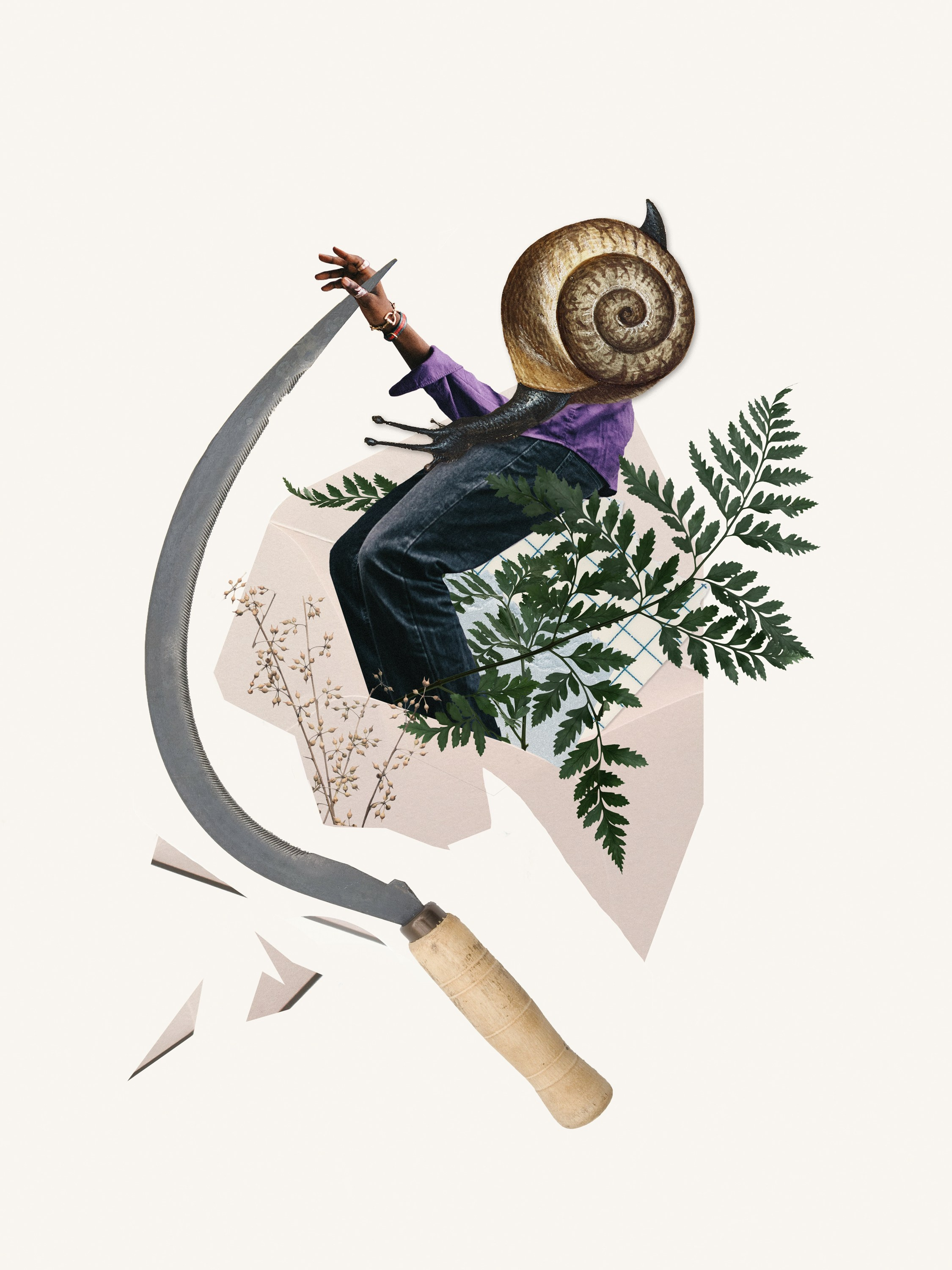 Snail King. Alya Segova