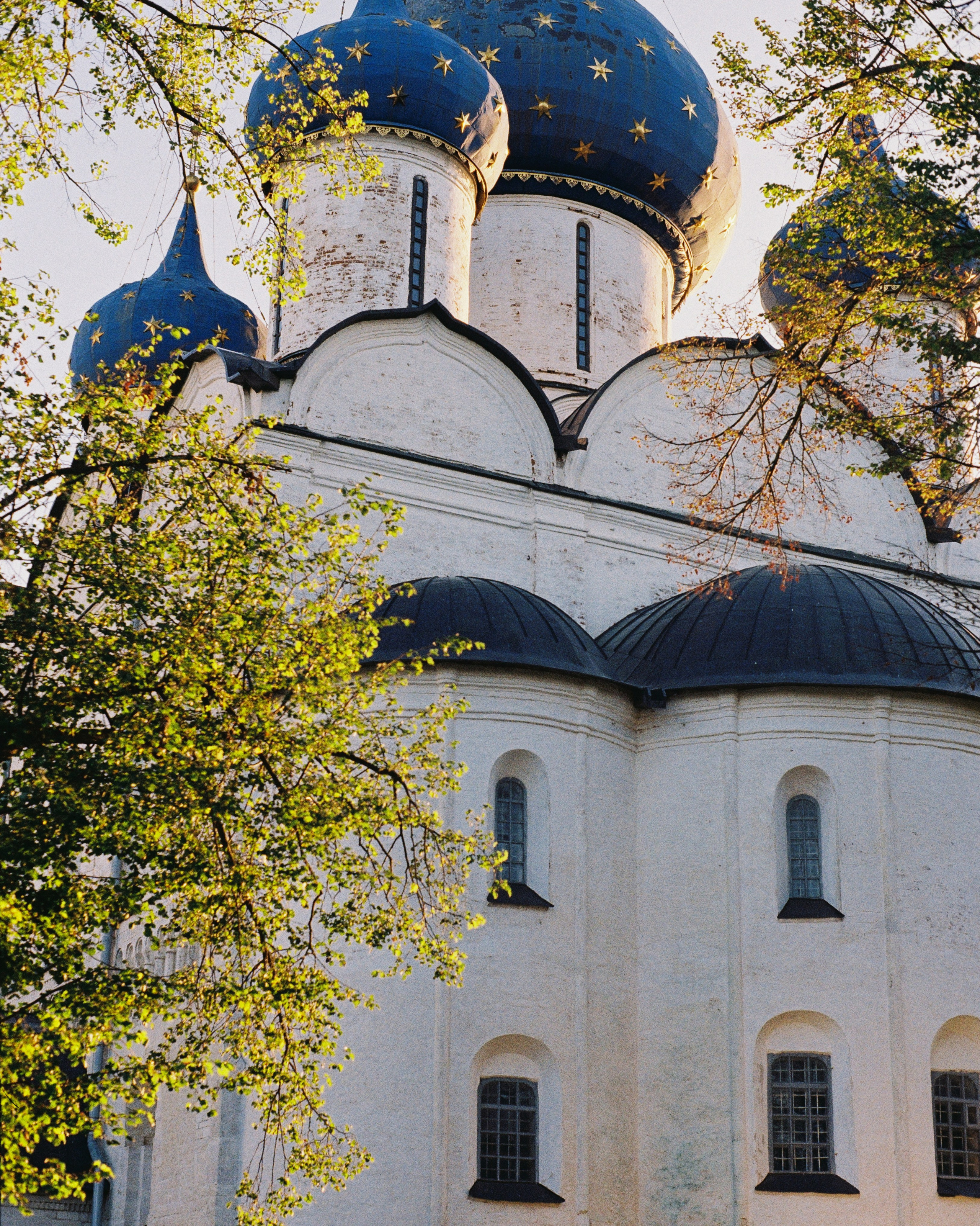 SUZDAL. ANNA — PHOTOGRAPHER