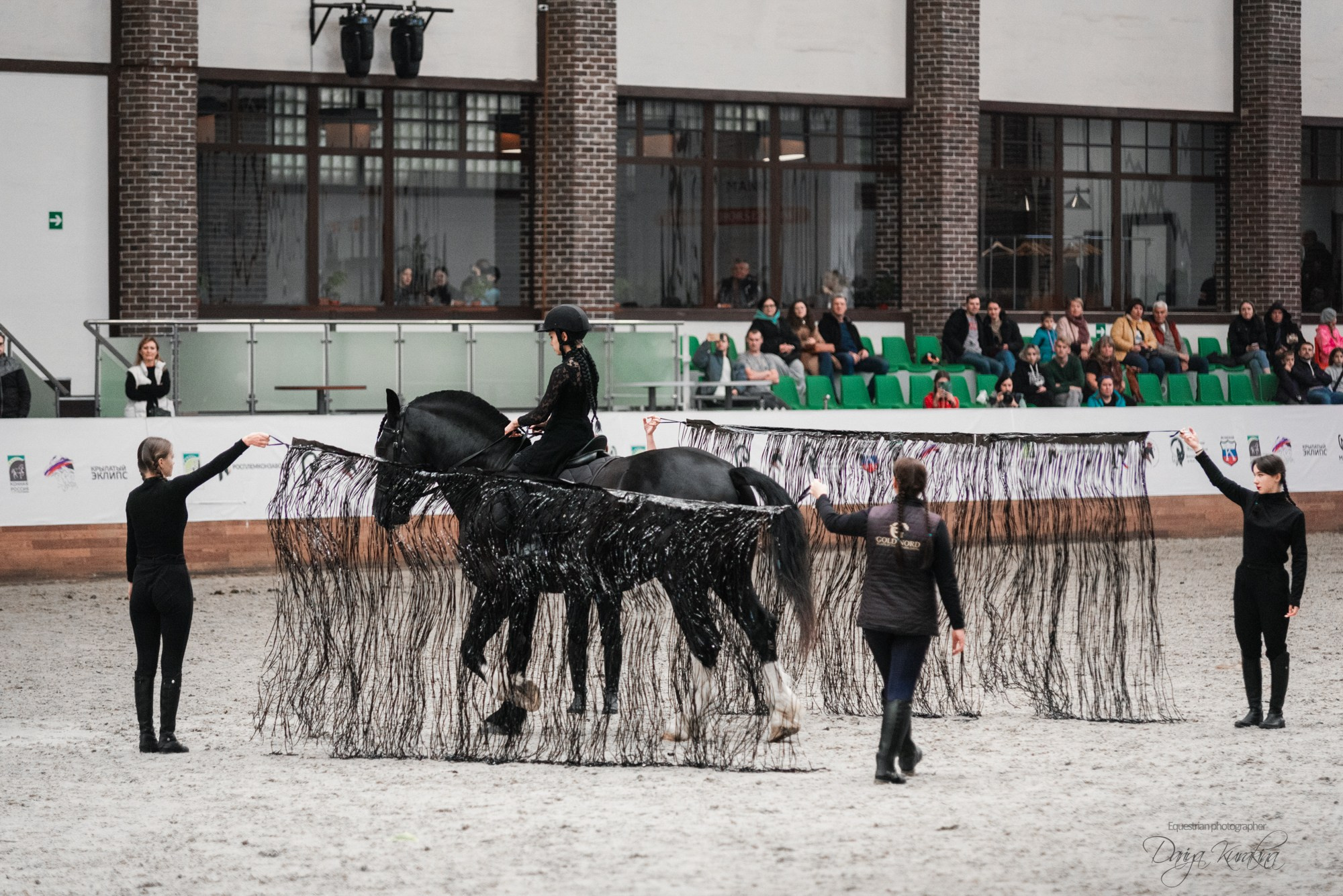 8-я международная выставка Конная Россия. Конный фотограф Куракина Дарья • Фотосессии с лошадьми