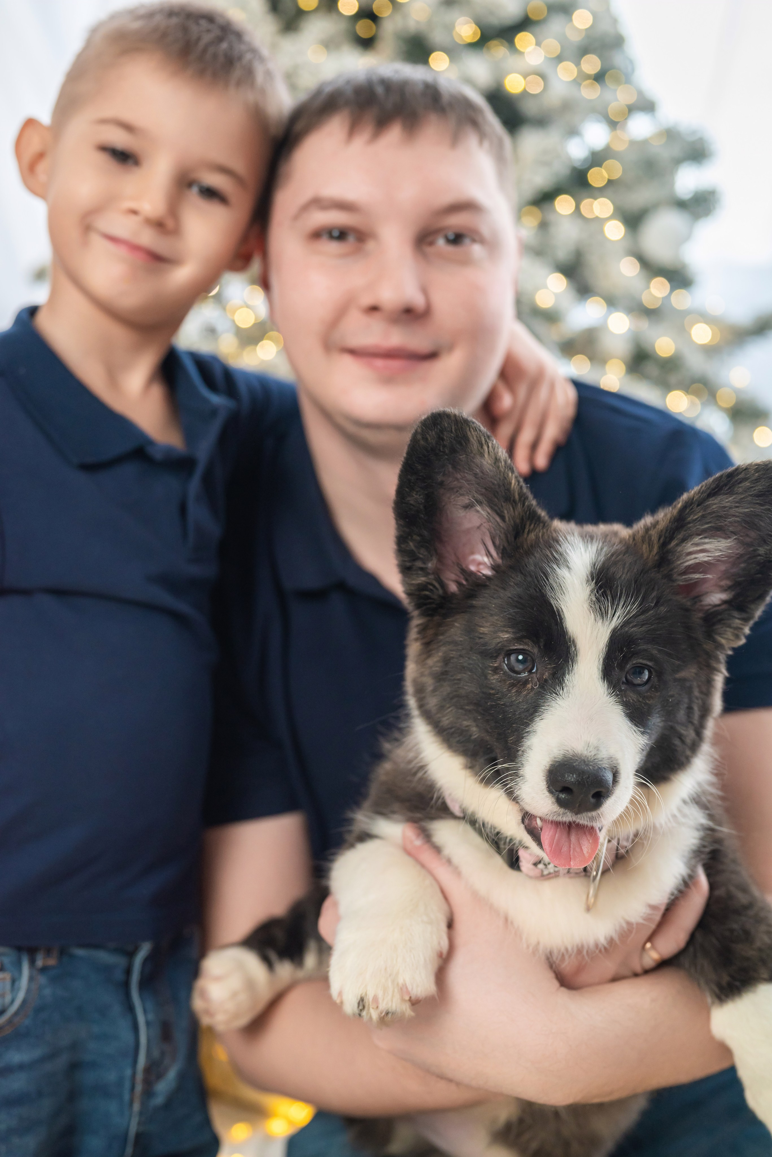 Фотопроект с корги. Фотограф в городе Салават