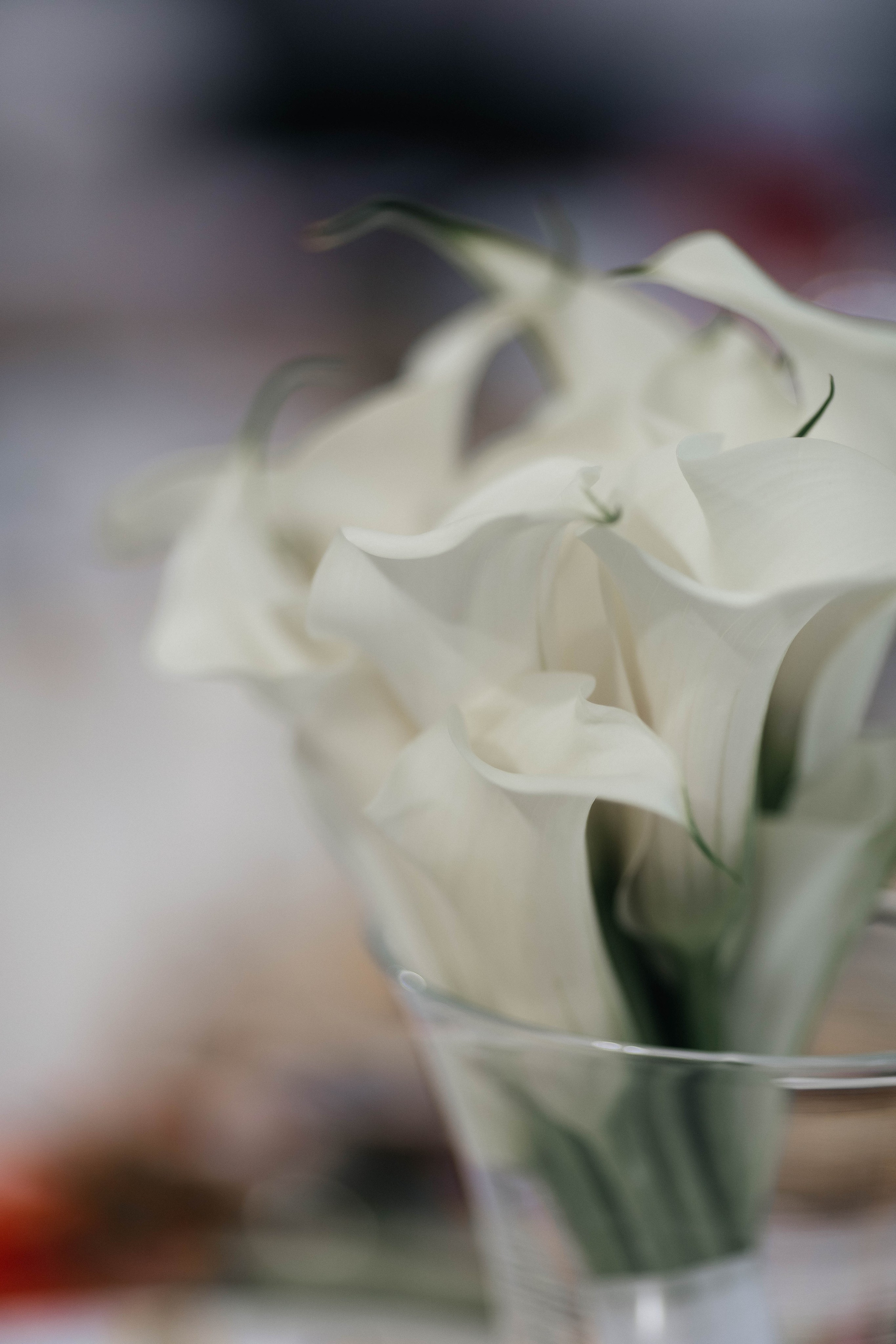 Владислав & Татьяна. Главная