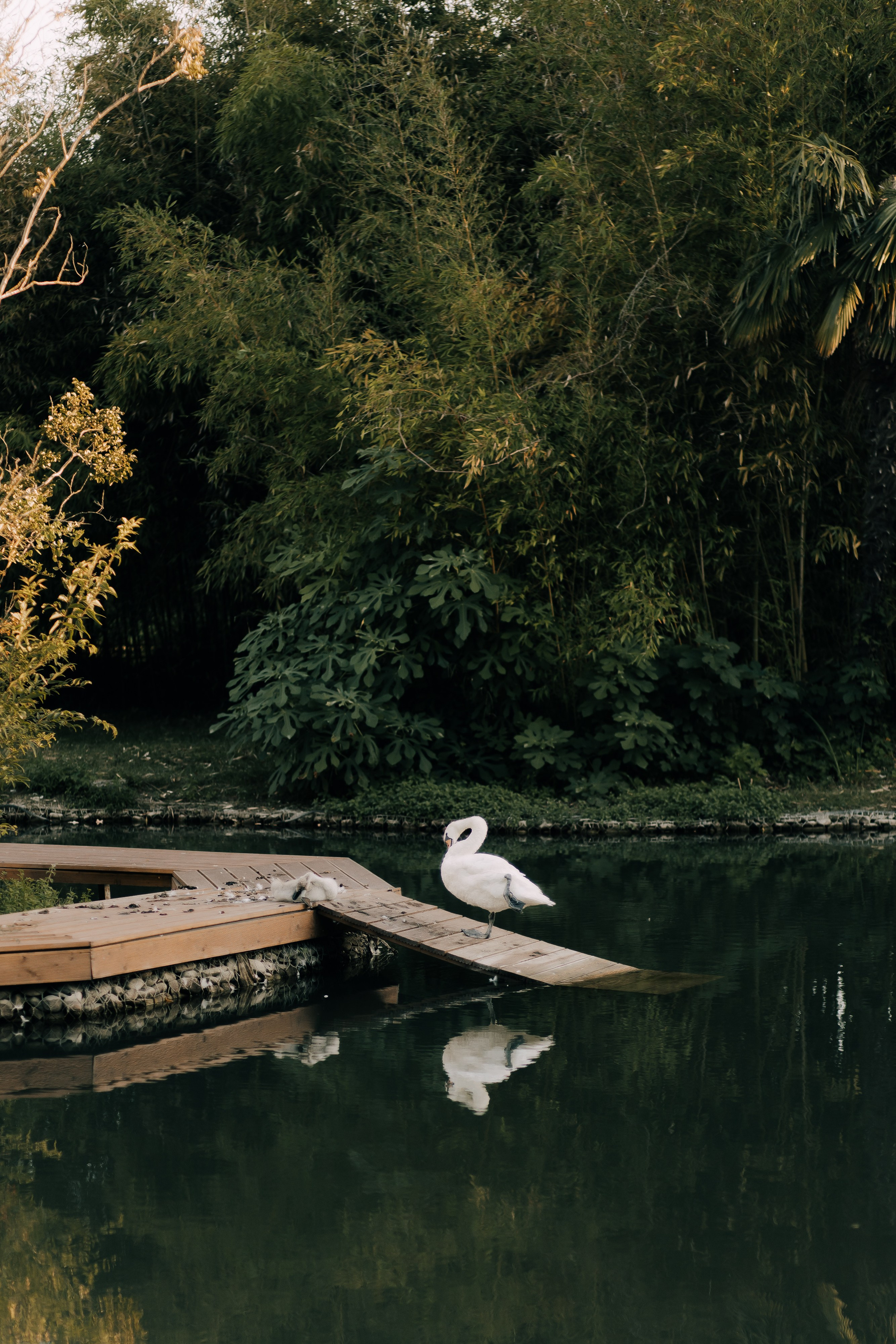 КИРИЛЛ И ВЛАДА, СОЧИ. Свадебный и индивидуальный фотограф в Челябинске Евгения Негодяева