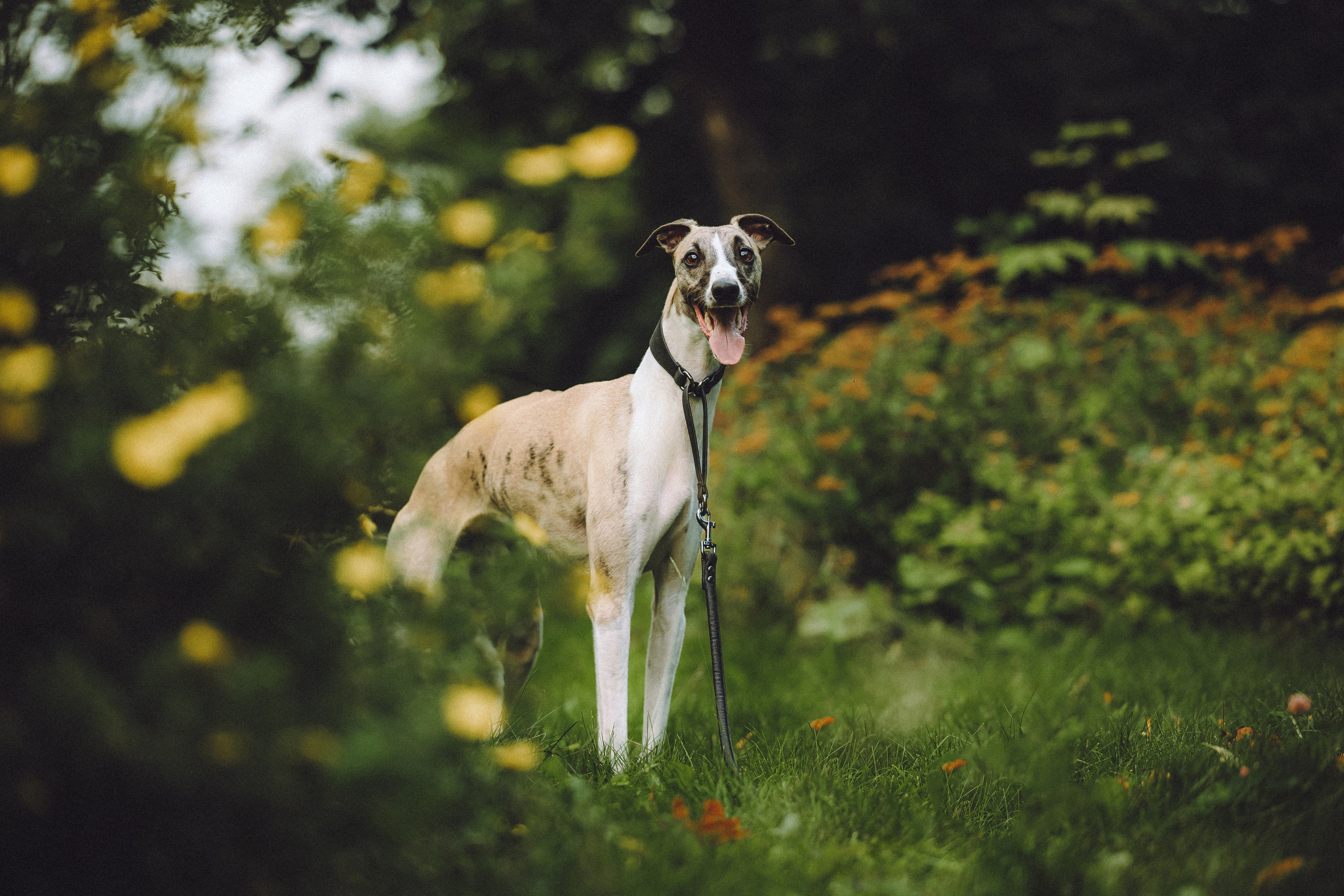 Ирина, Илья и Рик