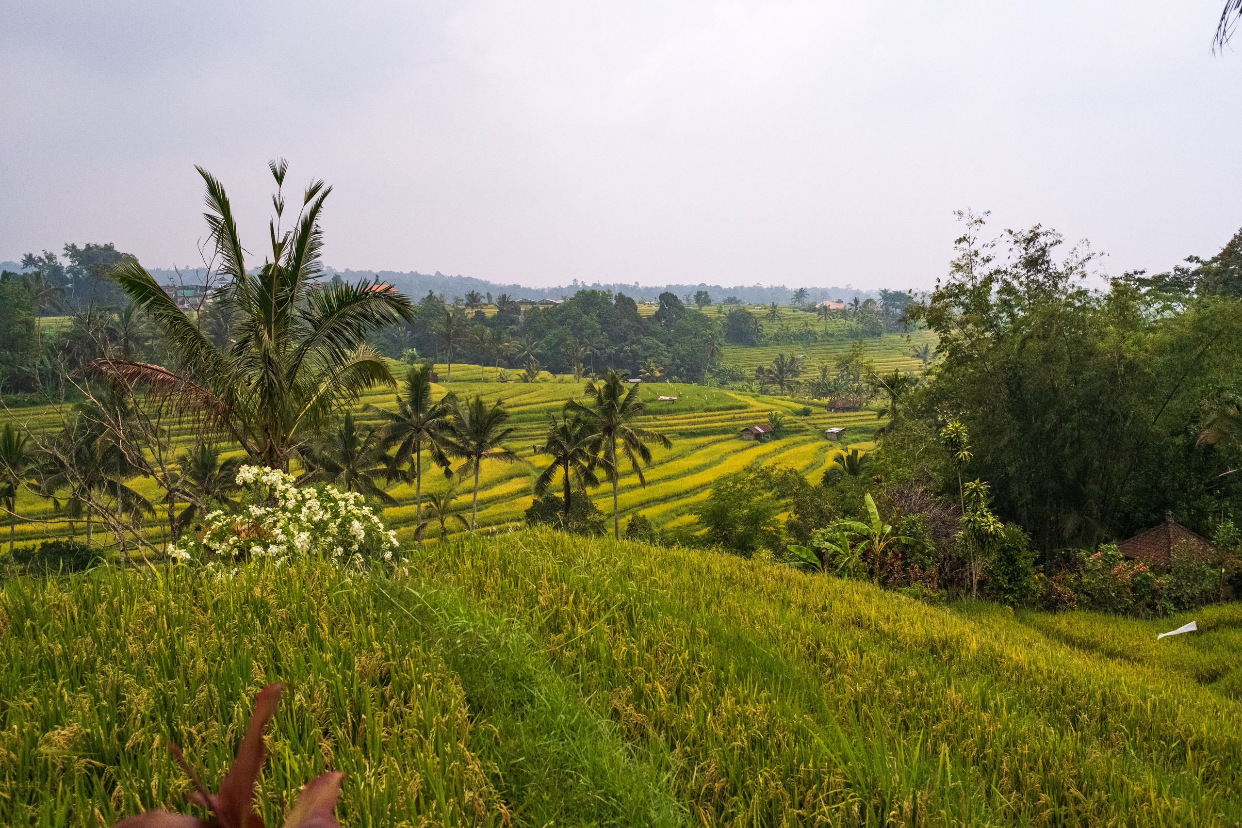 Остров Бали. Фотографии из путешествий