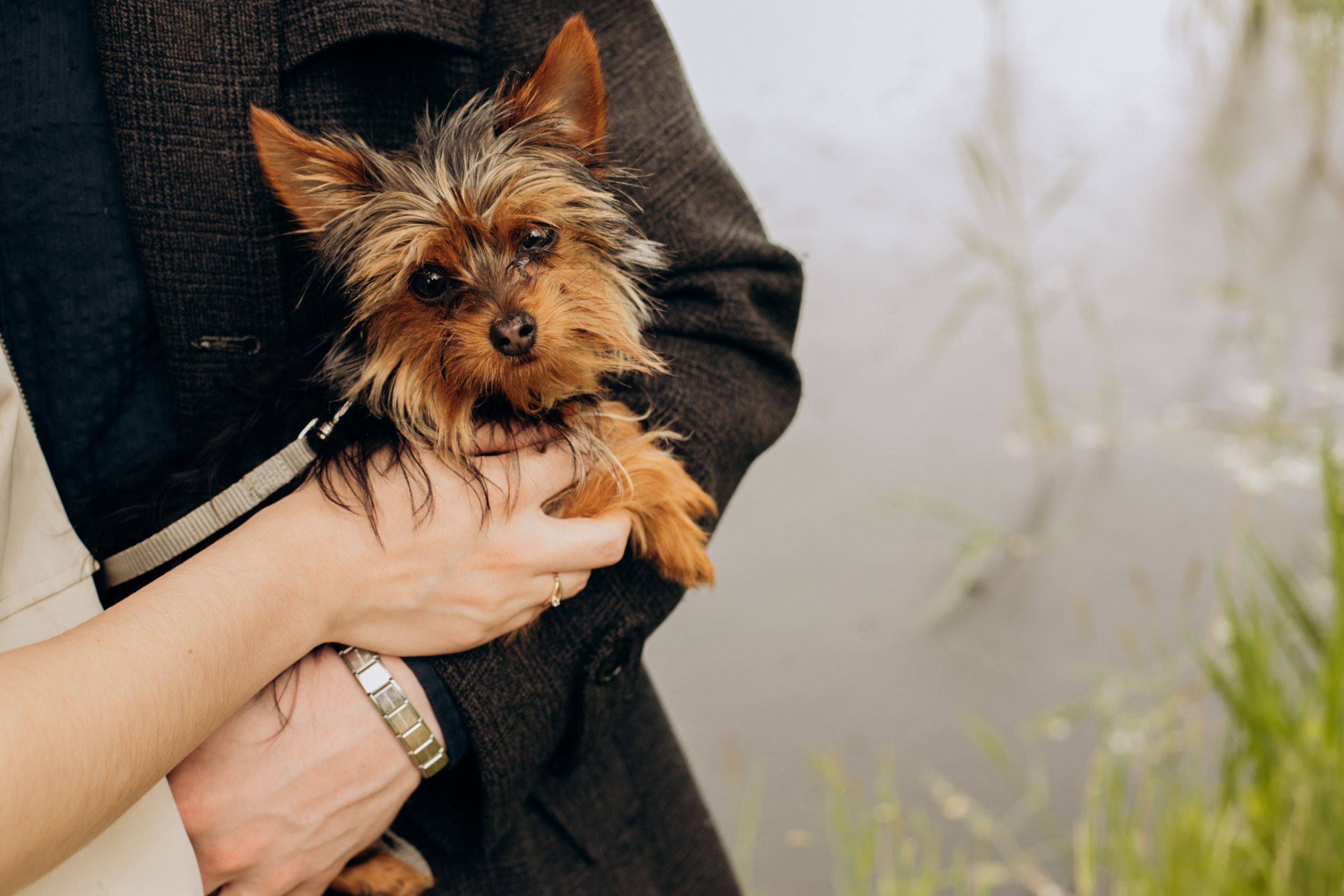 Лавстори: Лиза, Влад и Тайсон. Фотограф Белгород