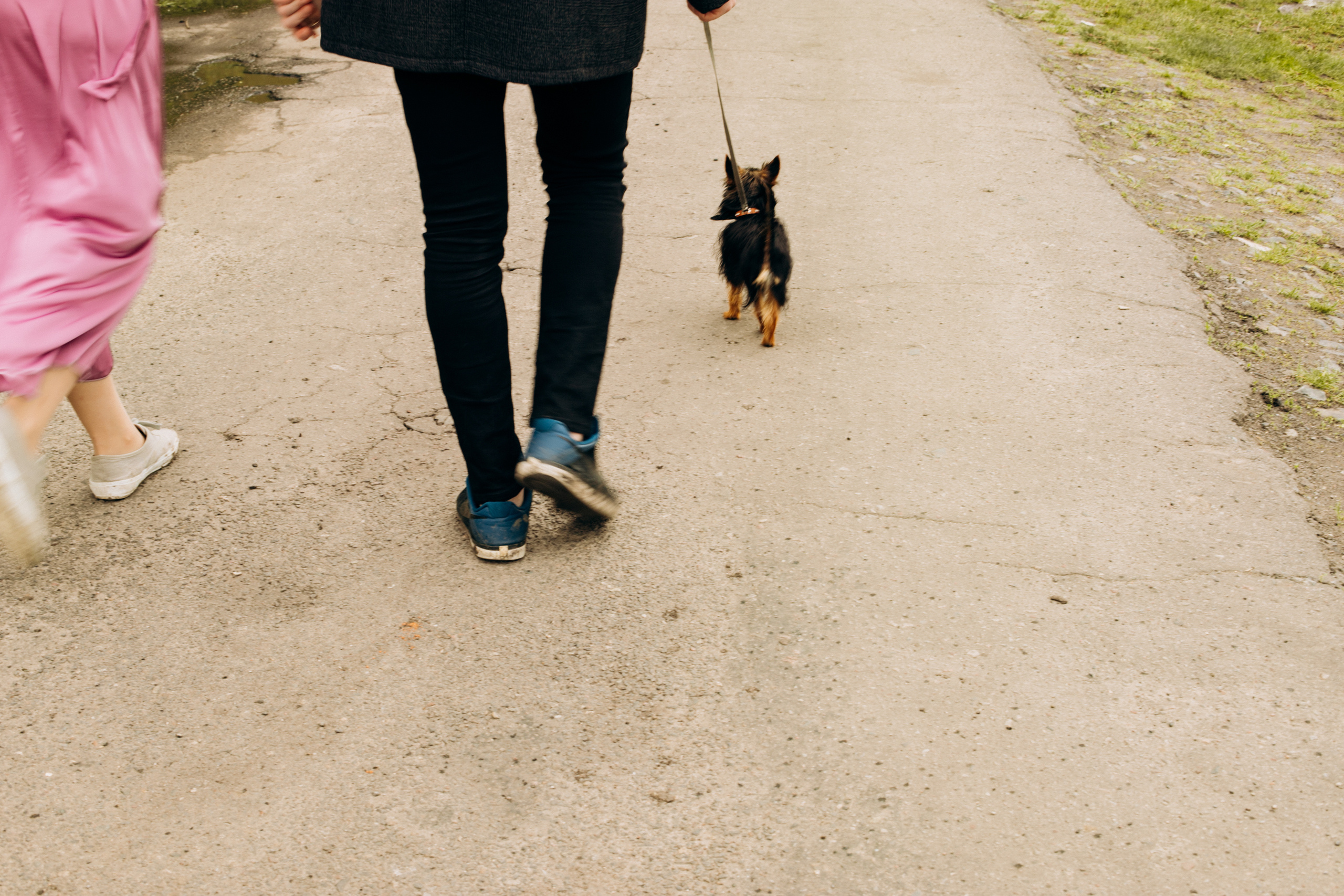 Лавстори: Лиза, Влад и Тайсон. Фотограф Белгород