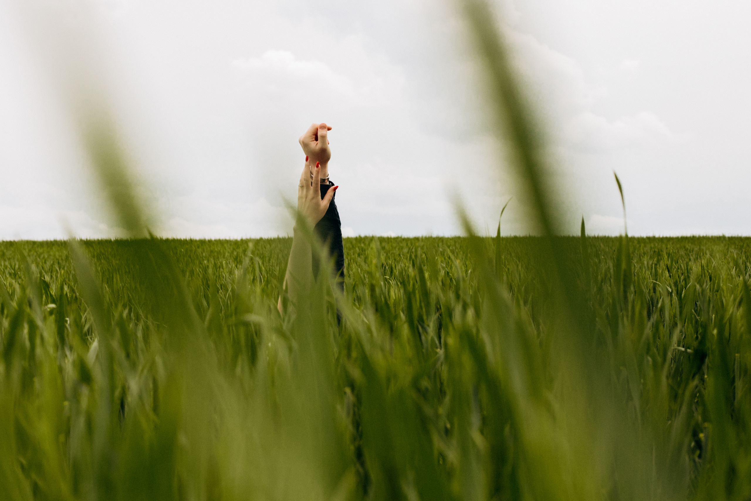 Лавстори: Лиза, Влад и Тайсон. Фотограф Белгород