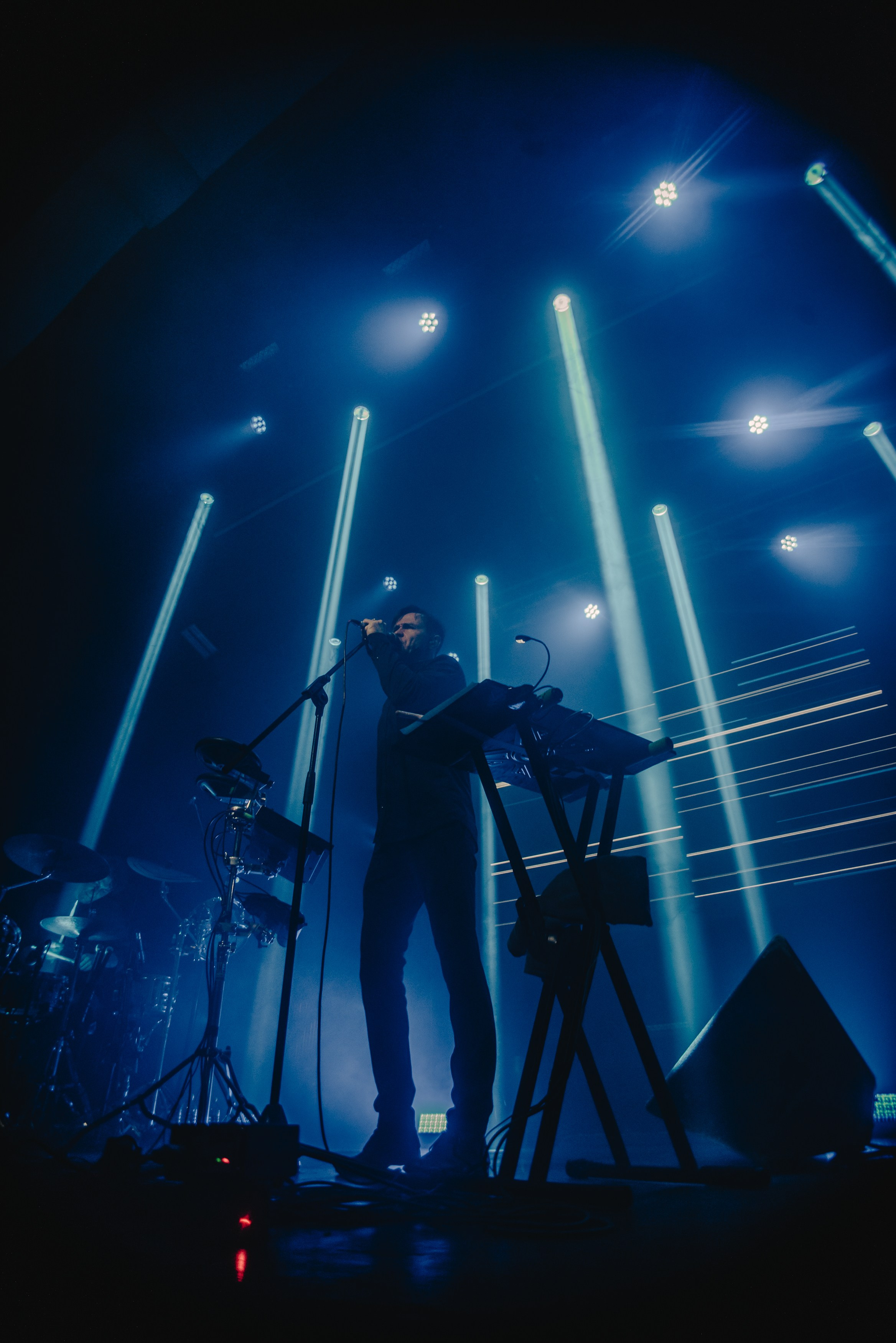 Дельфин | Gaudi. Контент фотограф Илья Урс