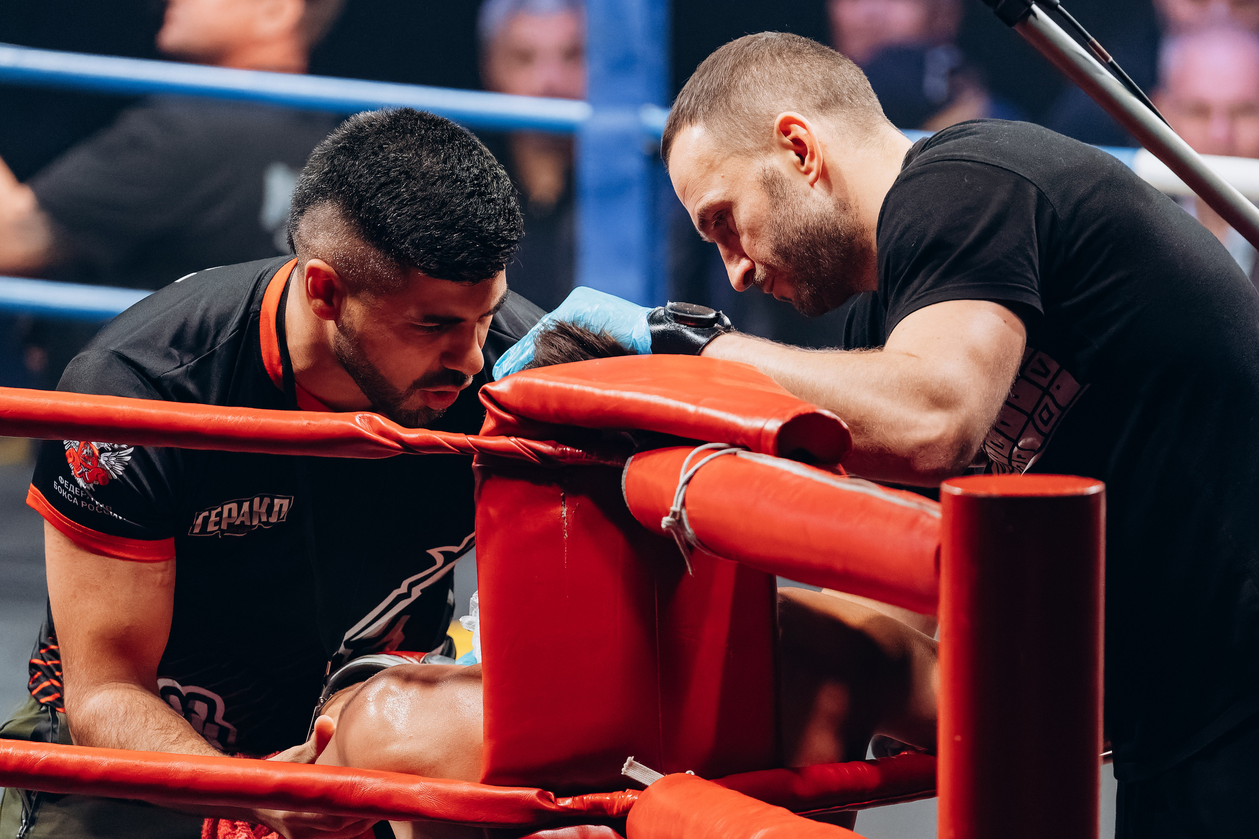 Кубок Казанского Кремля по боксу. Свадебный фотограф Казань|Москва Ranas4you