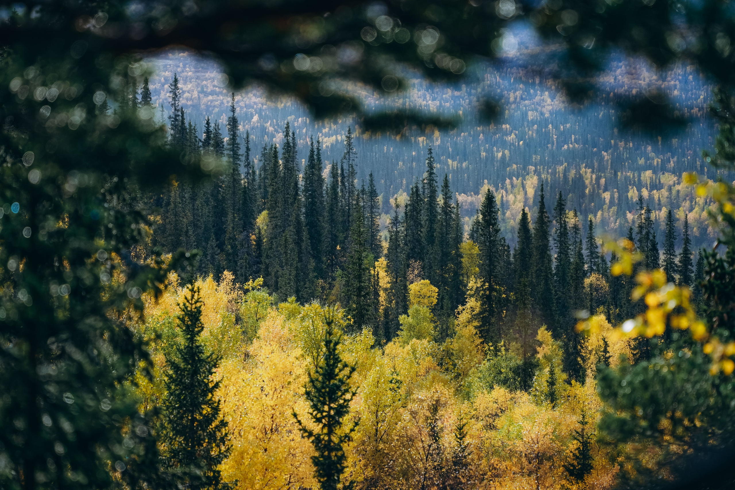 СЕВЕР. Event фотограф Степанова Александра