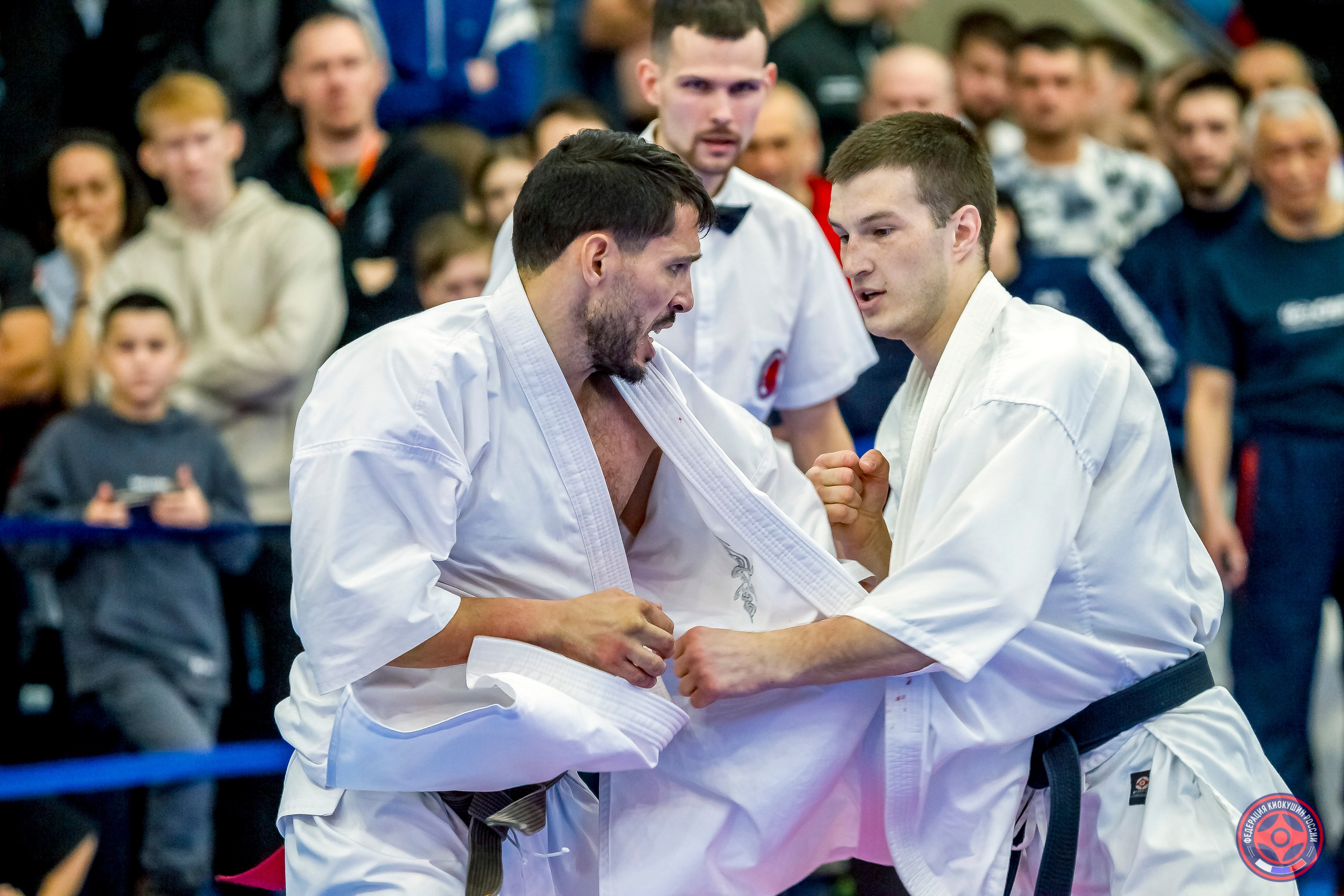 Международный турнир по киокушин «Открытый кубок Seiken». Репортажная съемка в Москве и области. Анималистика