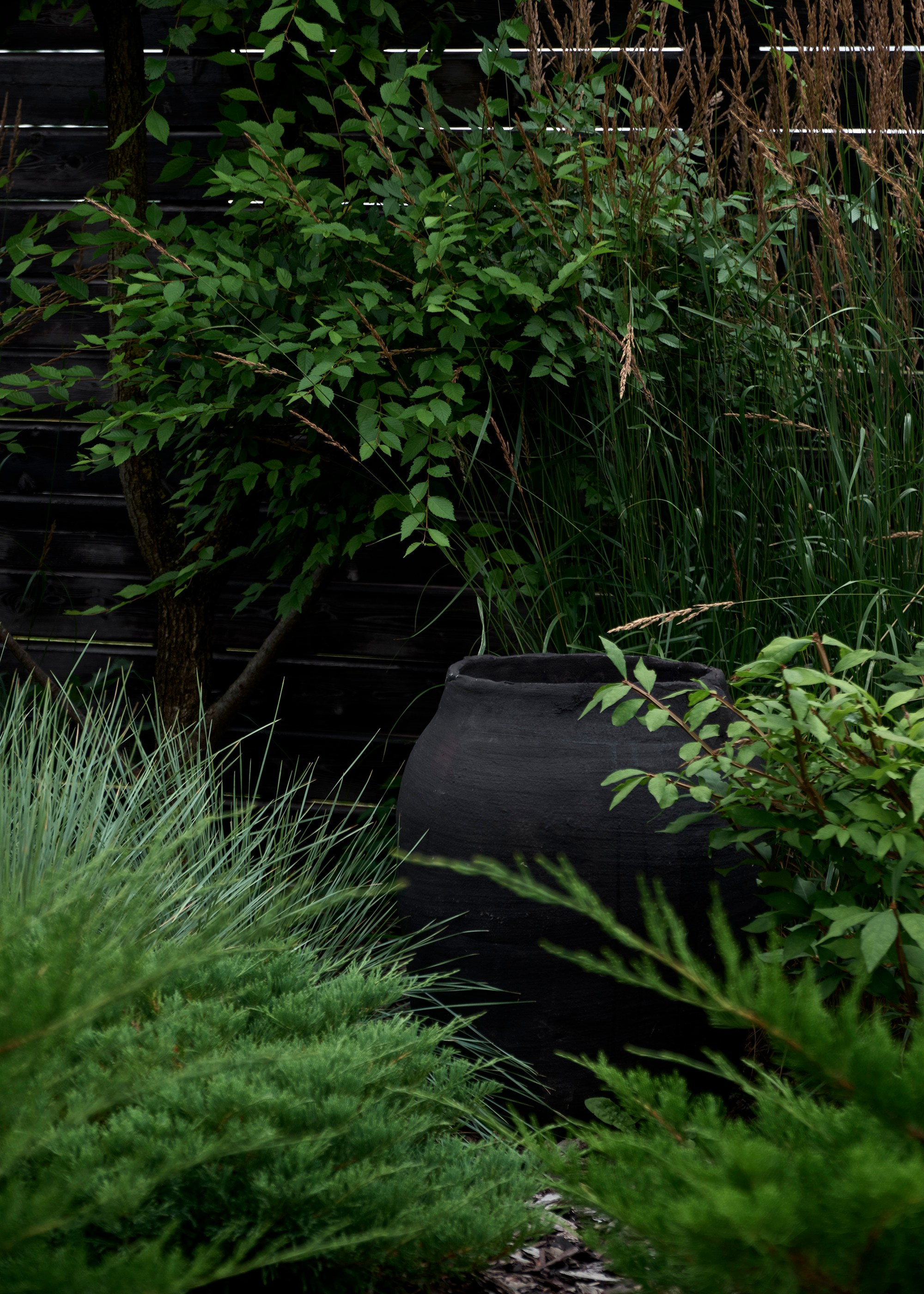 Ландшафтный и интерьерный фотограф Наталья Соловьева. Фотосъемка частного сада под Гатчиной для Таисьи Игошиной | interioto