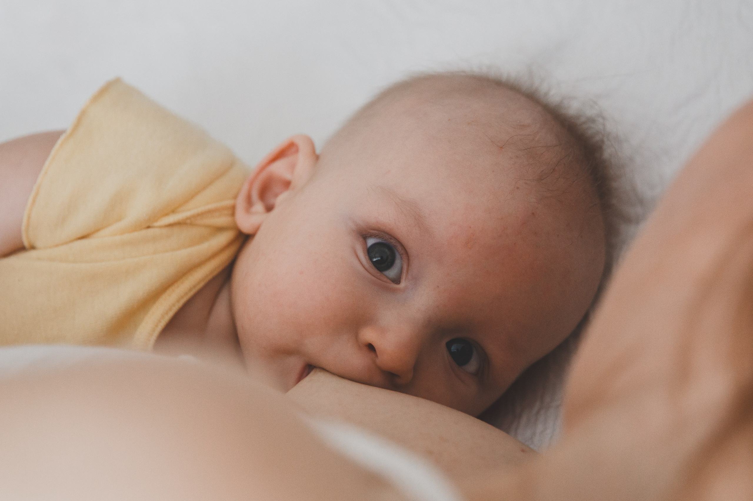 Домашняя фотосъемка грудного кормления. Семейный и школьный фотограф в Москве Анна Ткач