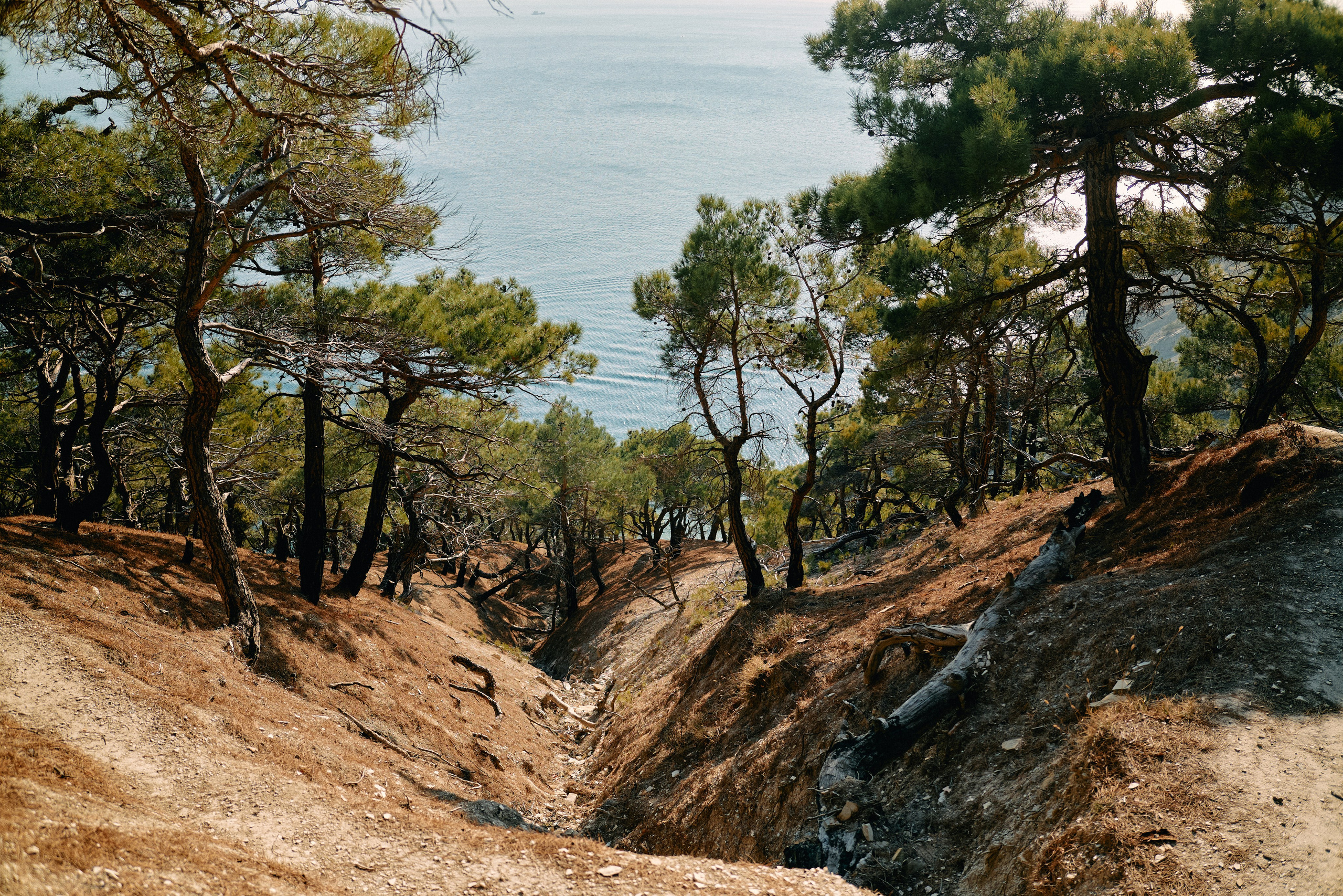 Юг России. Профессиональный Фотограф во Владимире, в Москве и в Суздале — Полина Романычева