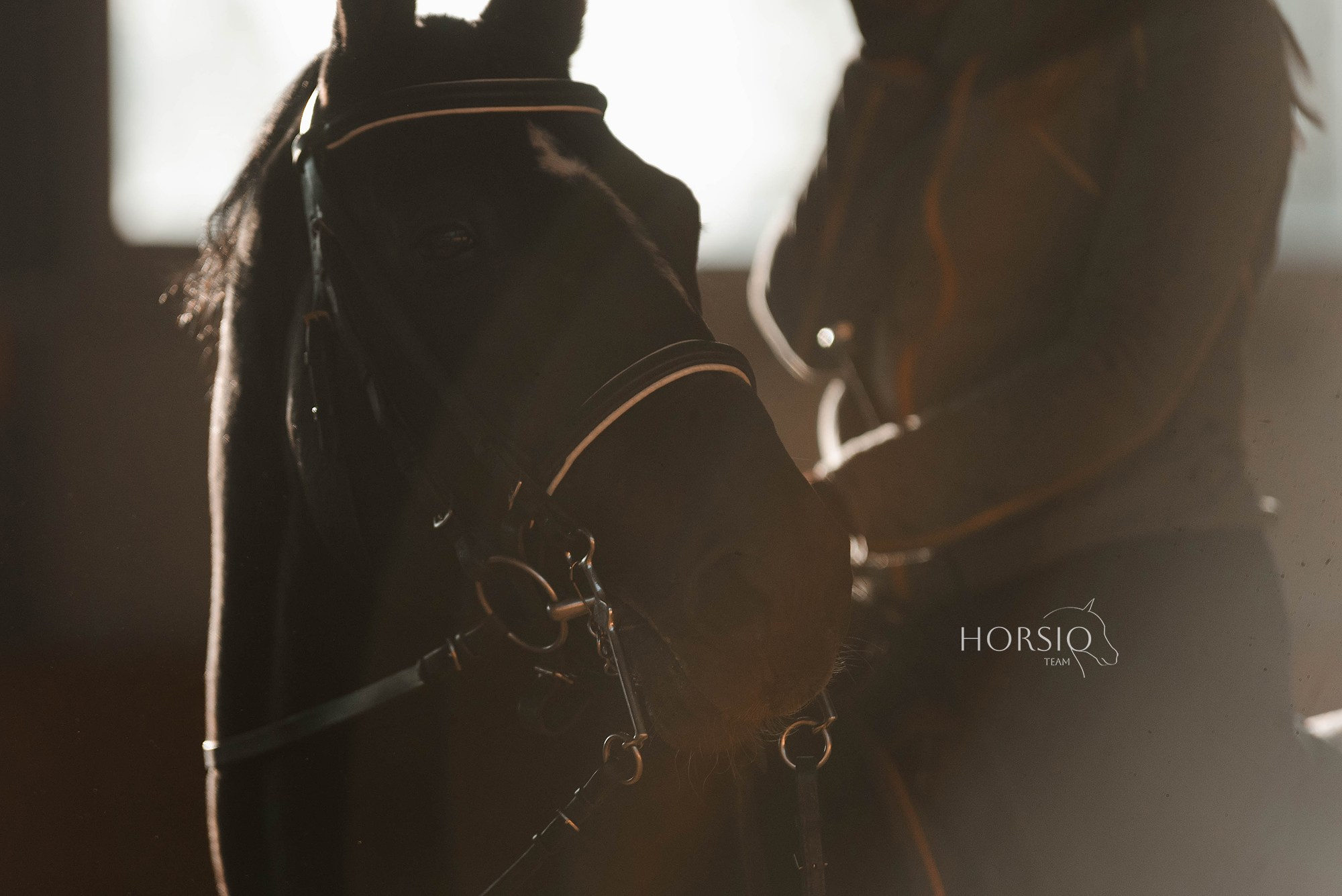 HORSIO тренировка. Конный фотограф Куракина Дарья • Фотосессии с лошадьми