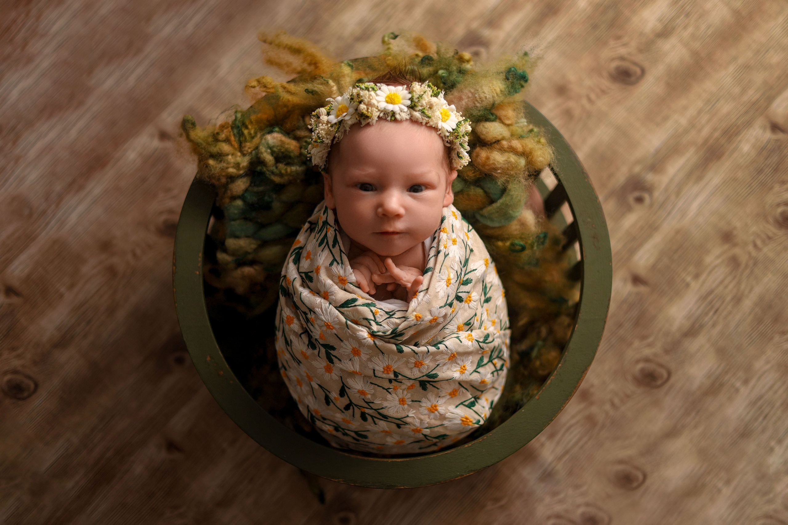 новорожденный в ромашках