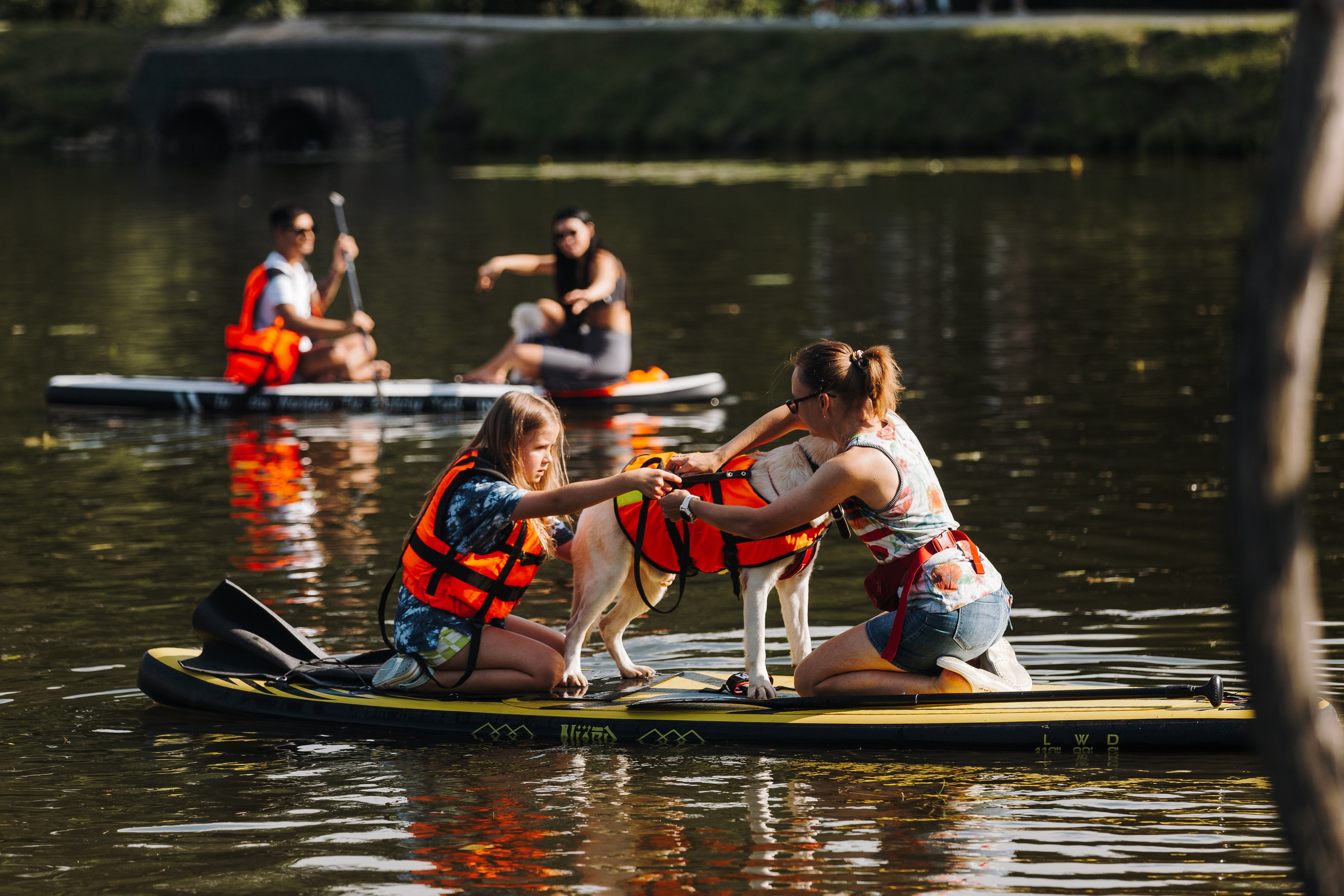 Petshop Sup day. Фотограф анималист Кристина Карпова, Москва