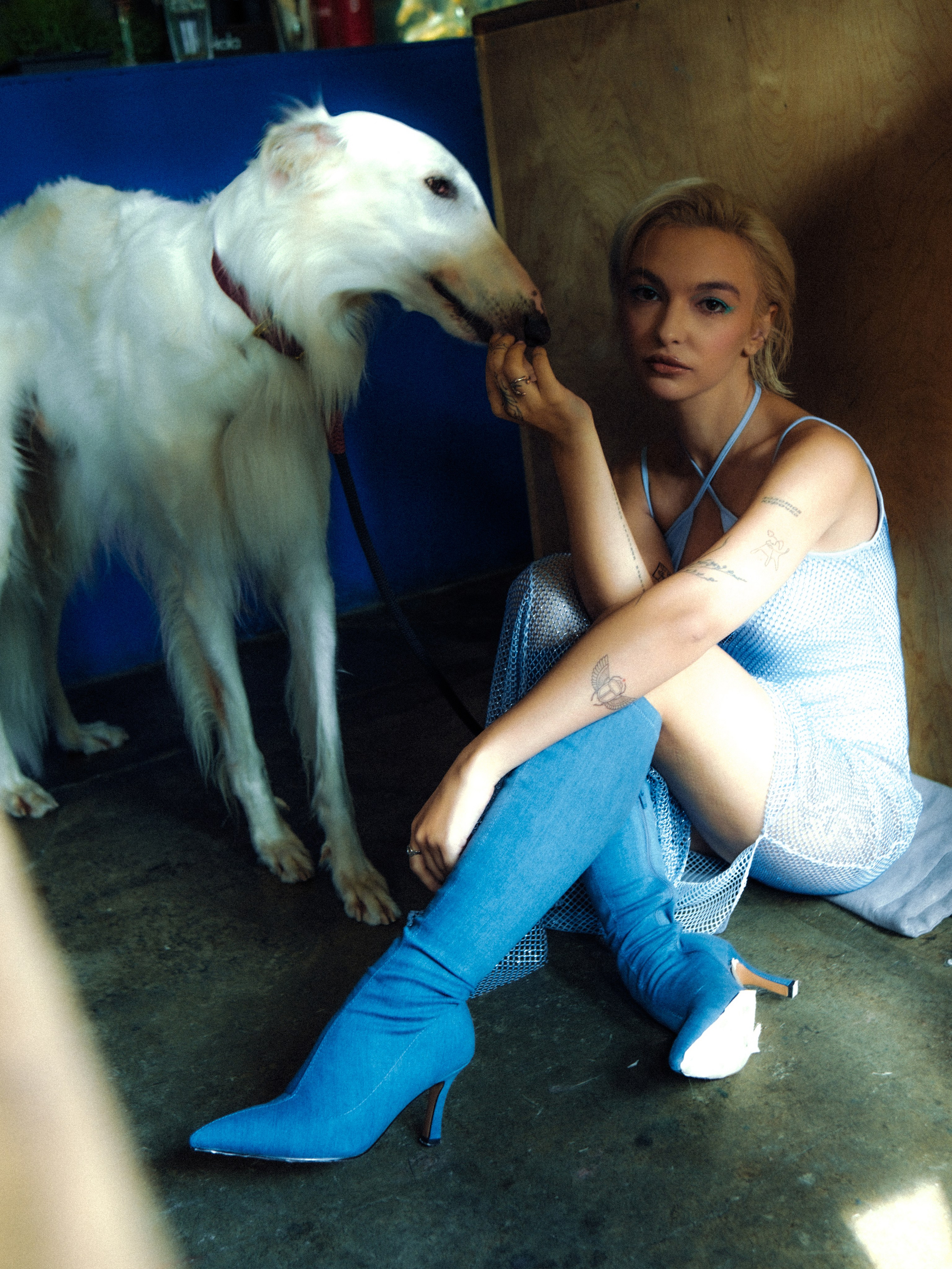 Dogbar. Dariaegudina.ru