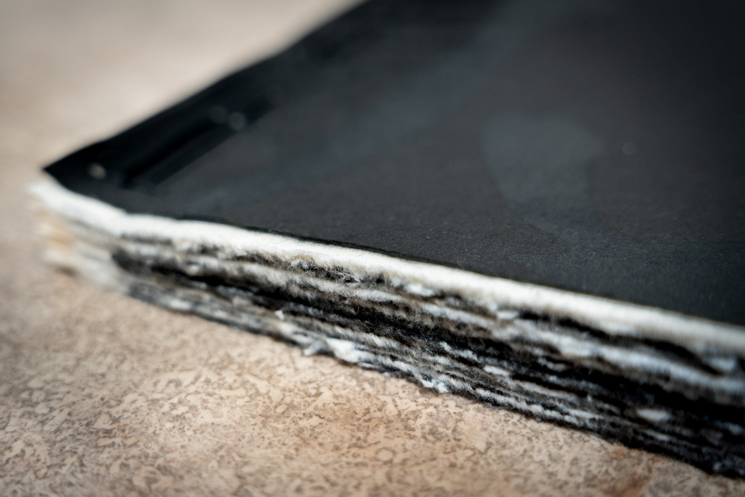 ИНТЕРВЬЮ С АВТОРАМИ: Ёсикацу Фудзии. Самоорганизация Низина