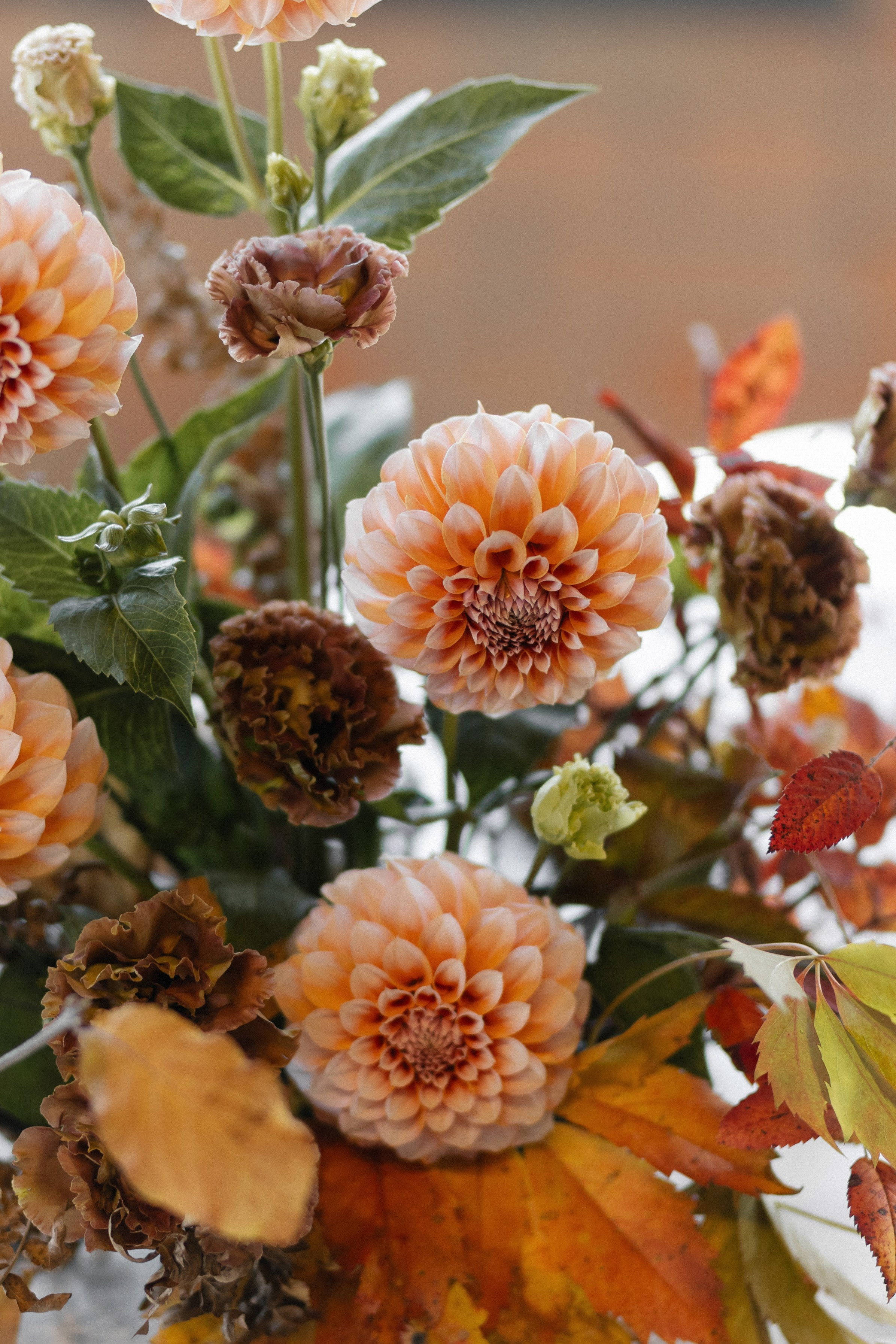 «В ОБЪЯТИЯХ ОСЕНИ». Maria Startseva Photo