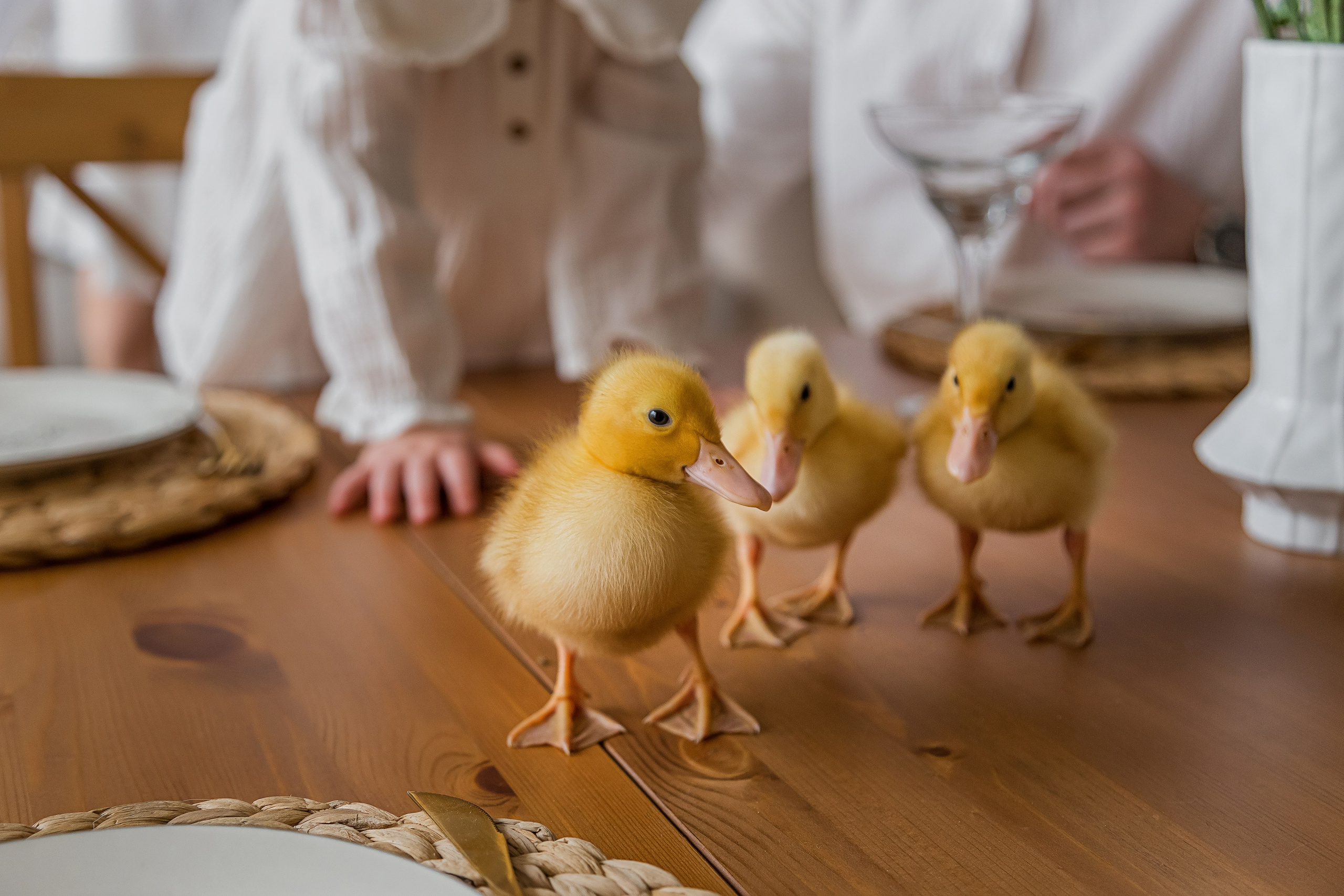 Семейные и детские. Екатерина Хамзина