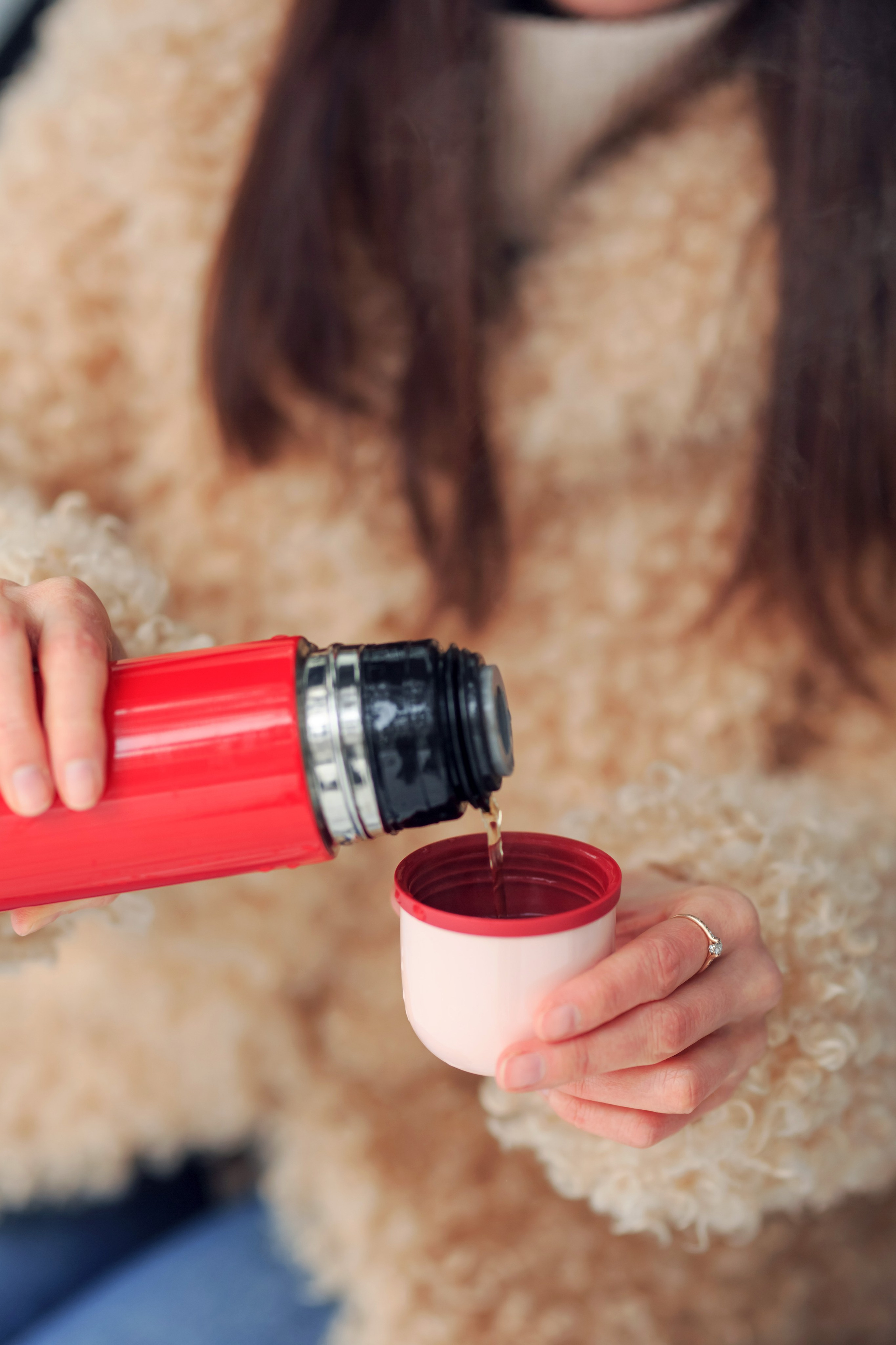 Зимний лес. Сайт